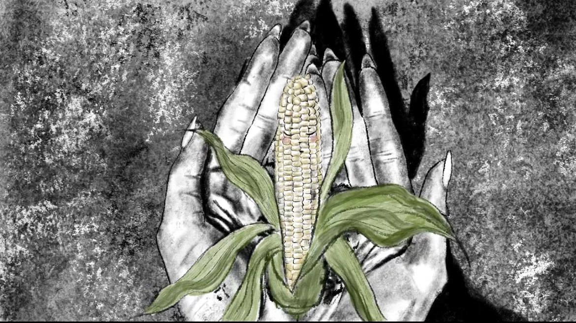 Corn Baby