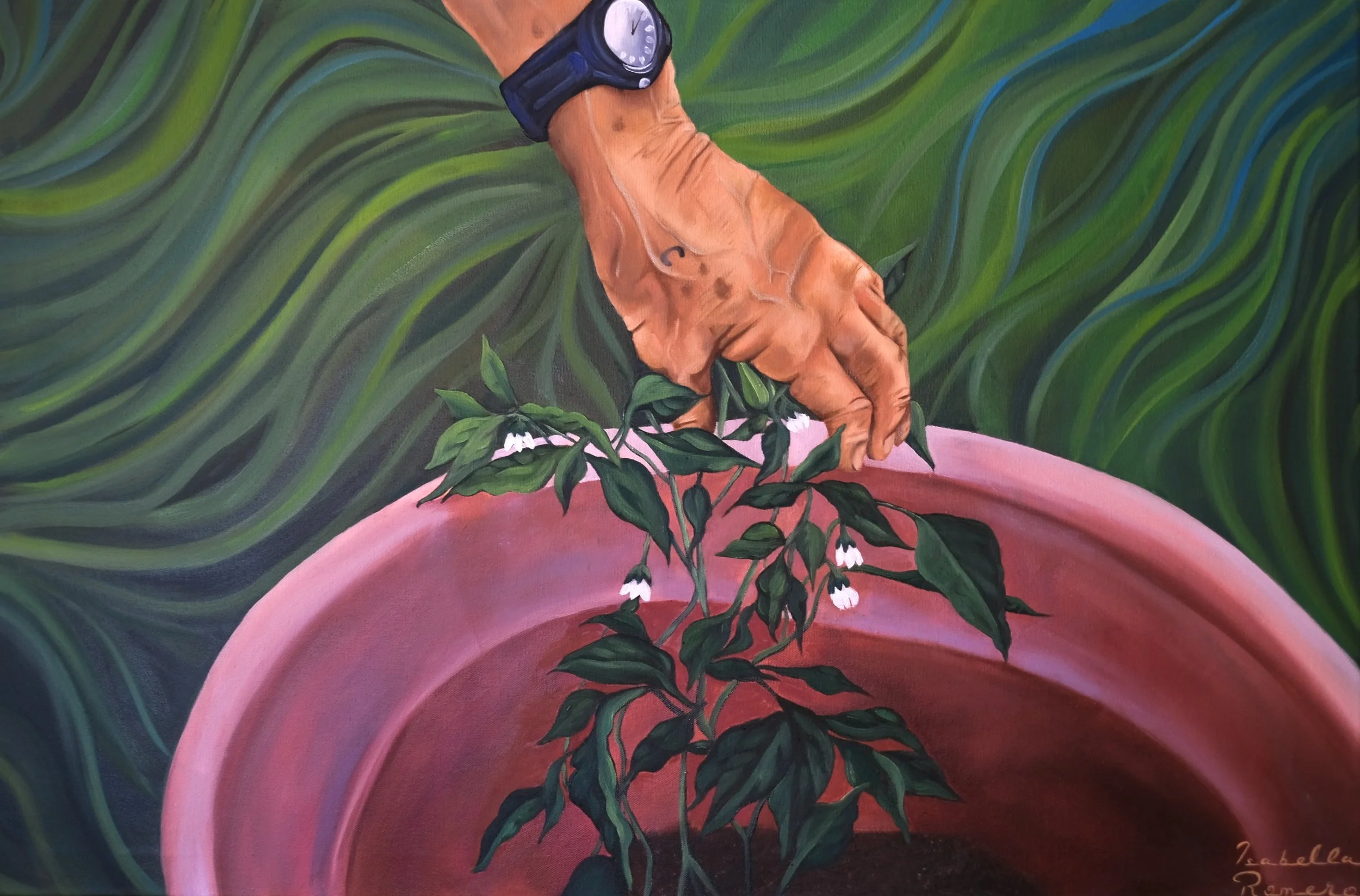 Bless Me, Nicasio, 2025,  24" x 36", Oil on Canvas