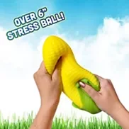 61462903_CC_ALT10.webp