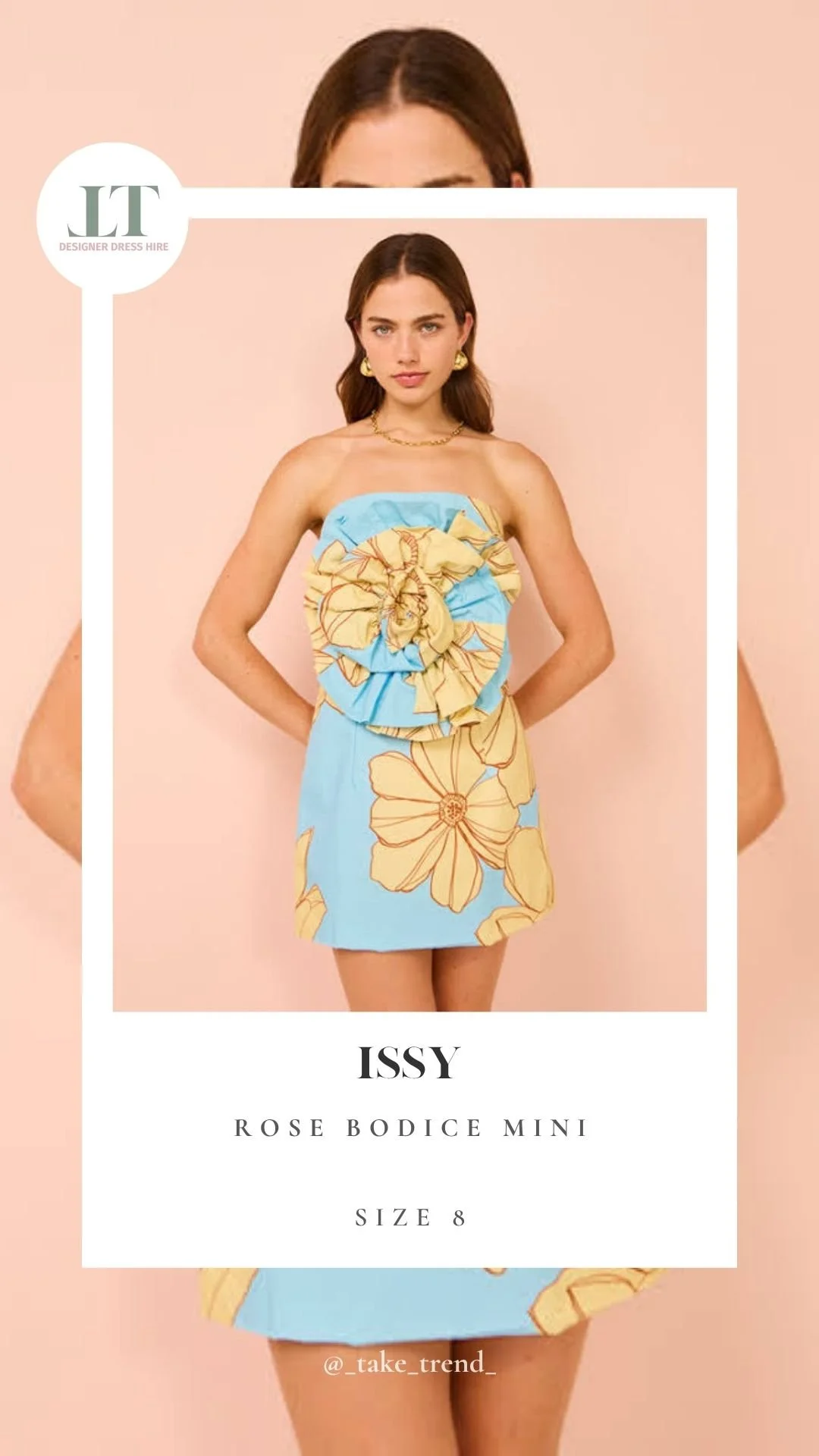 ISSY — Rose Bodice Mini