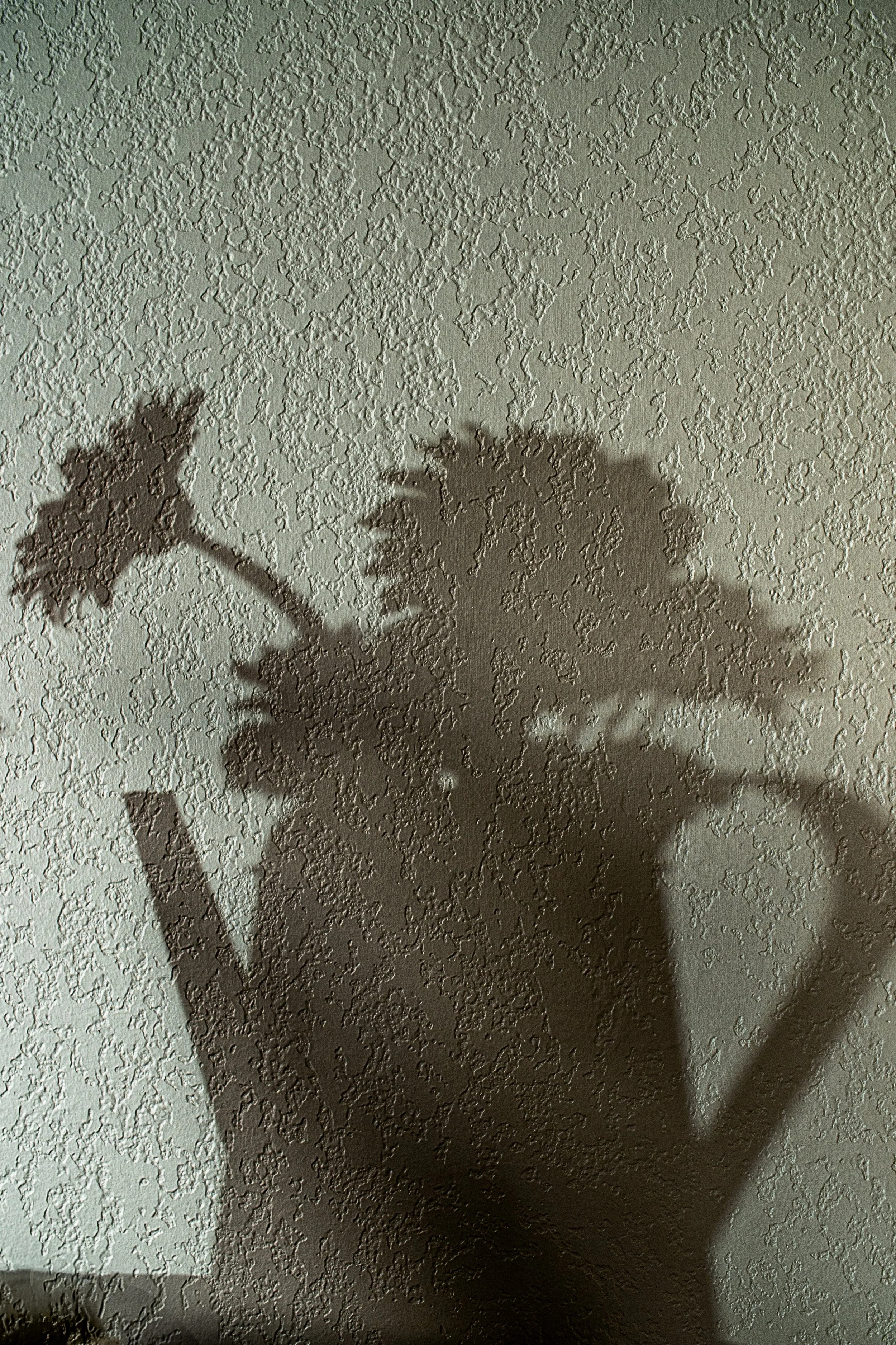 DSC00656.jpg