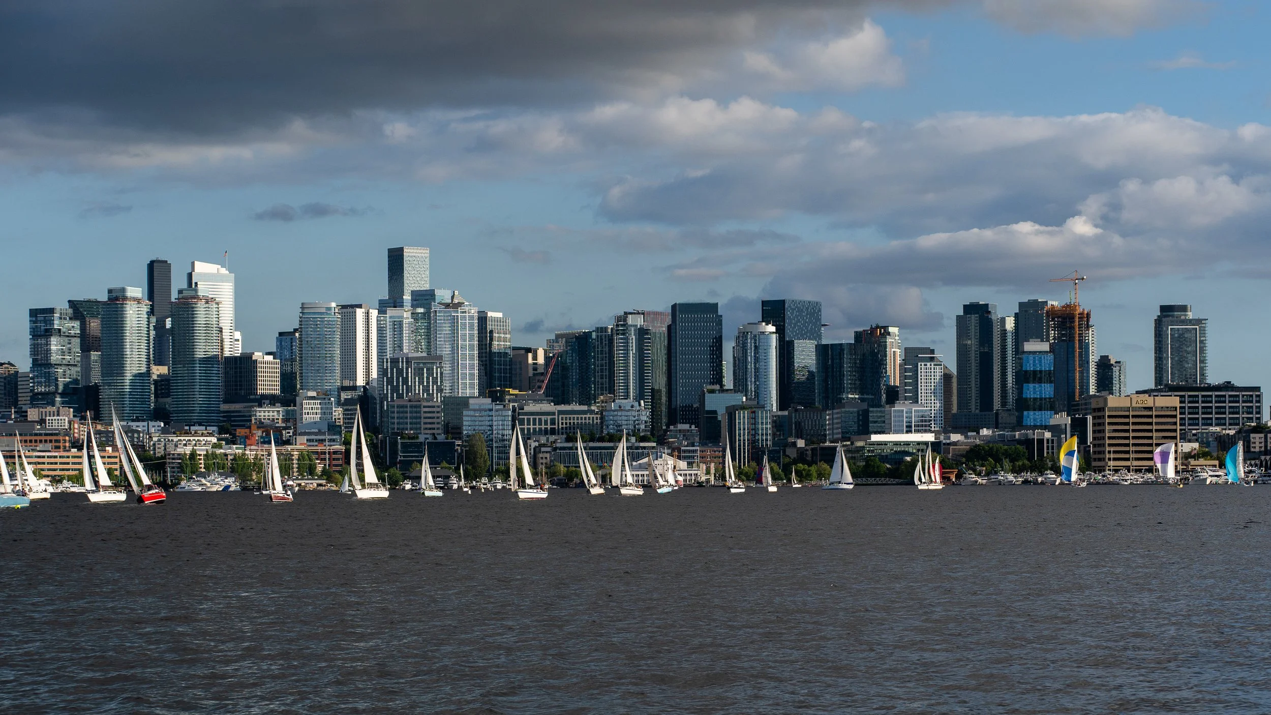DSC01614-3.jpg