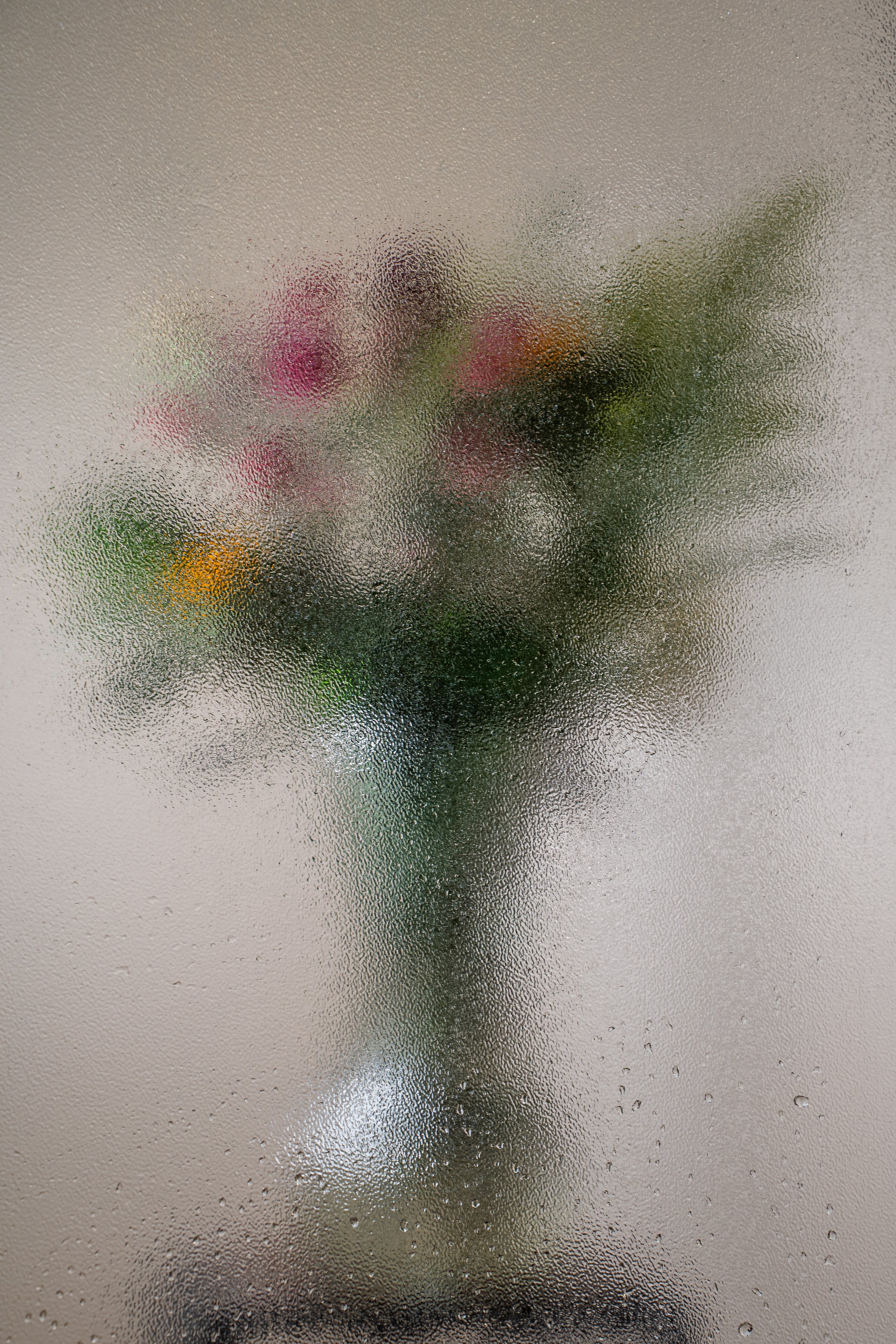 DSC01100-3.jpg