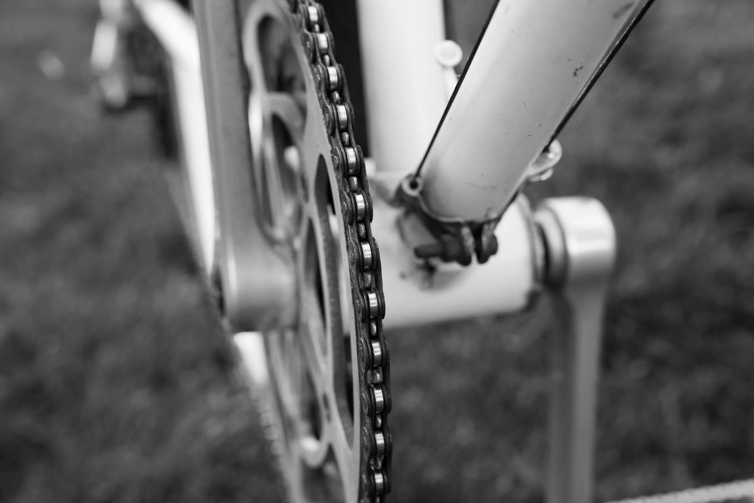 DSC09096-2.jpg
