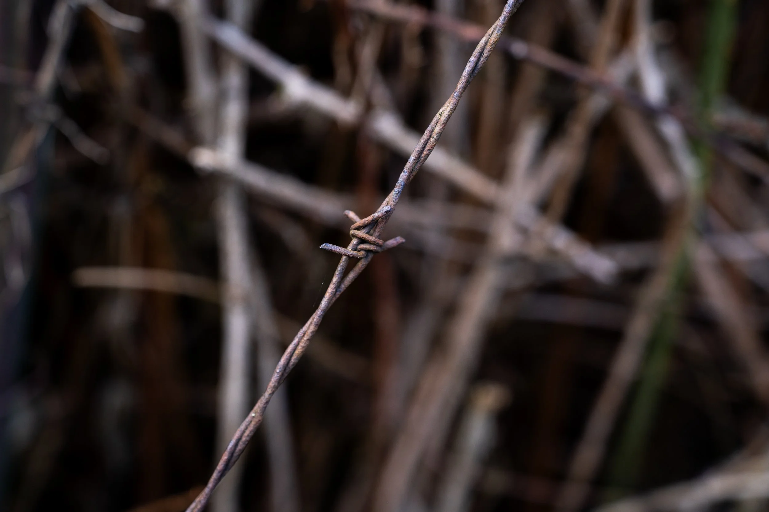 DSC06049.jpg
