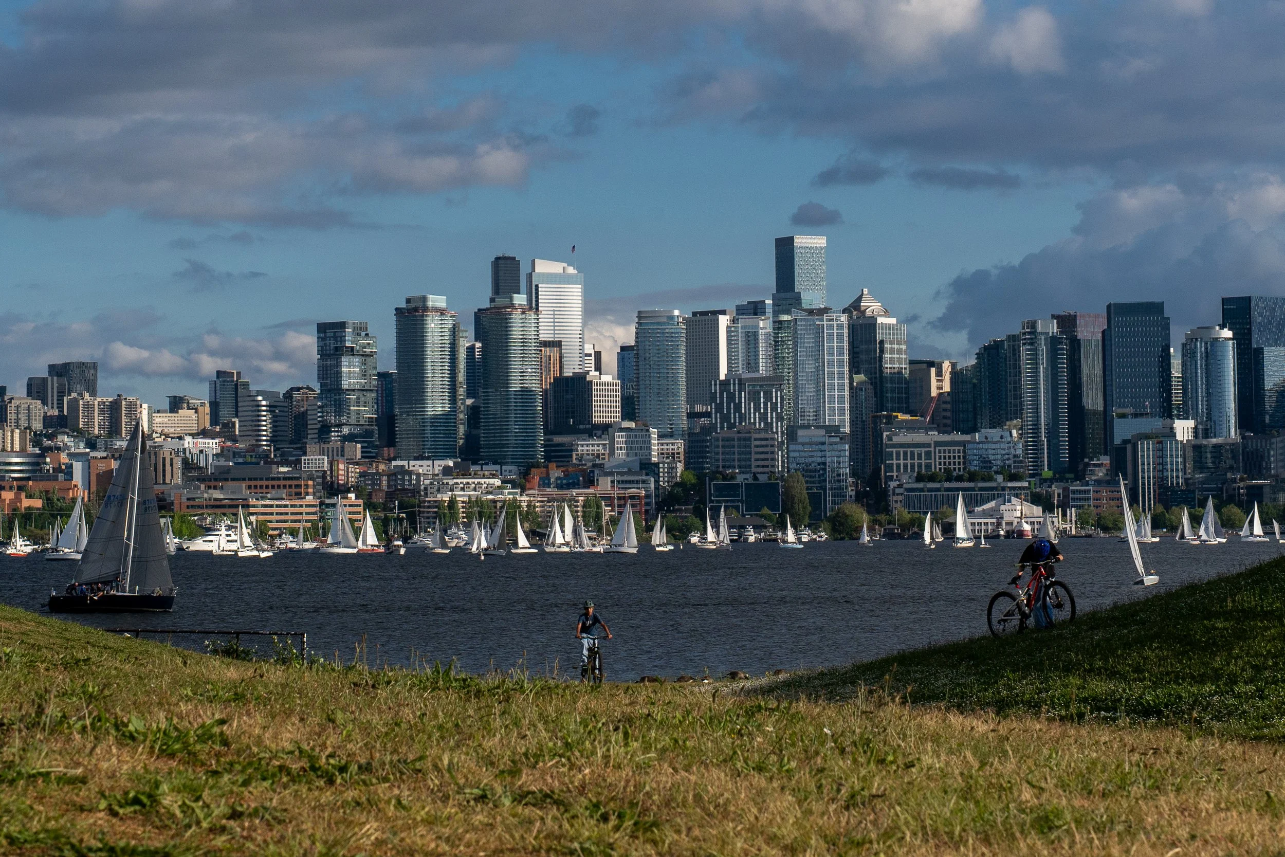 DSC01558-4.jpg