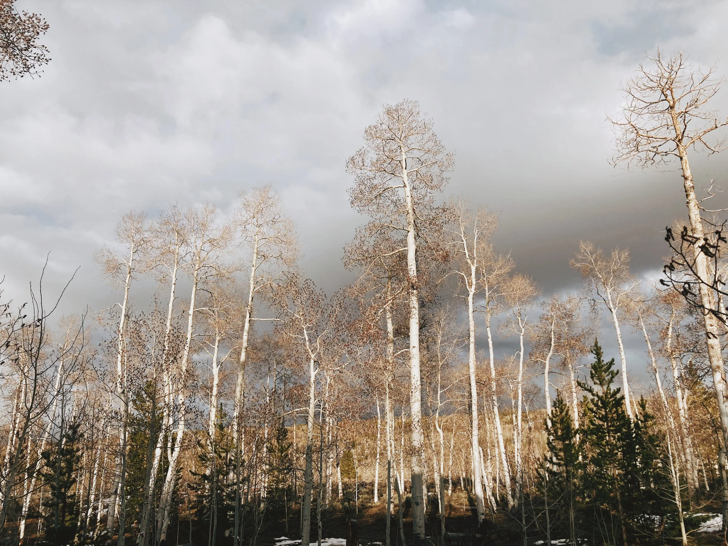 CA038E9C-629C-446A-BE96-F43973FC4FF5-VSCO.jpg
