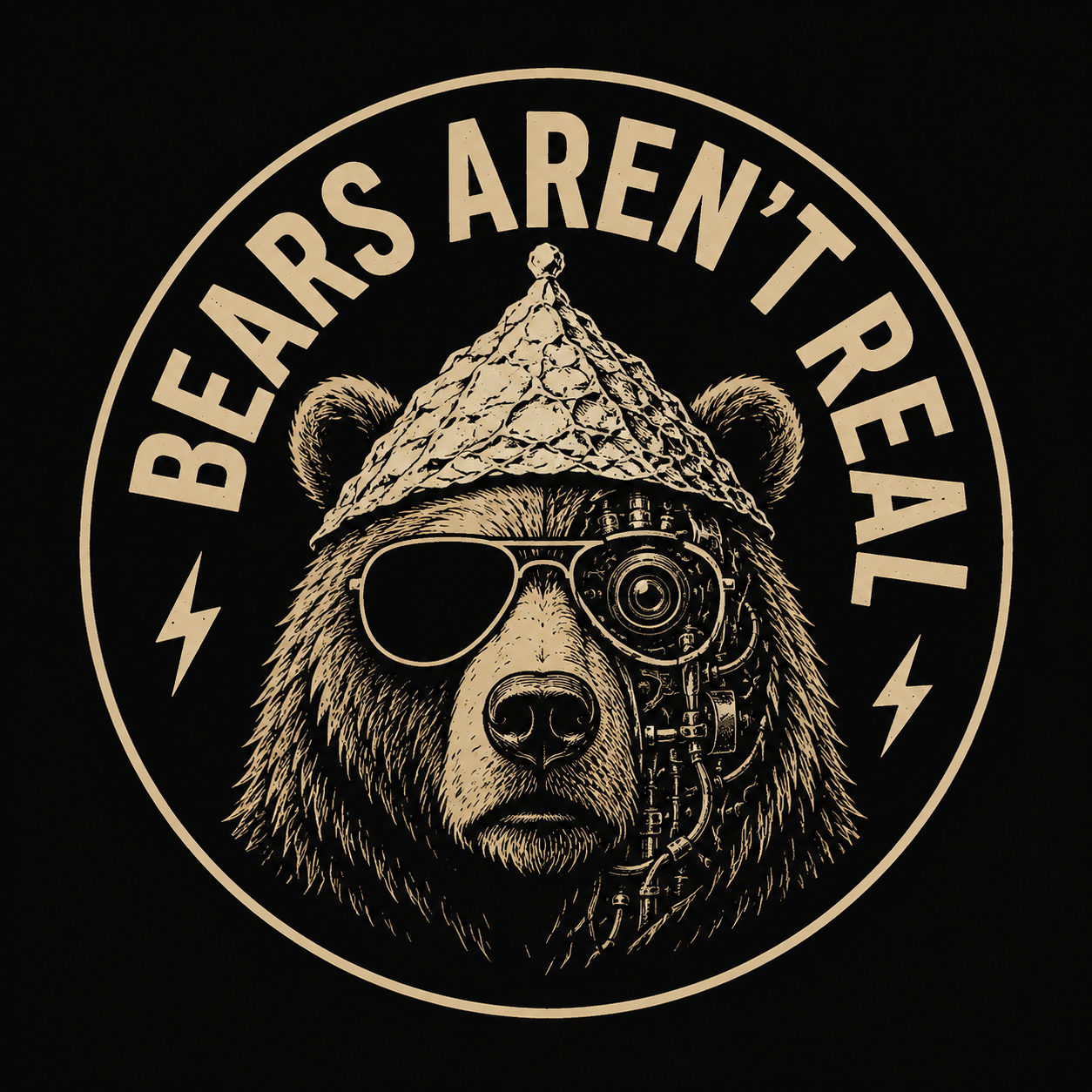 Bears Aren't Real