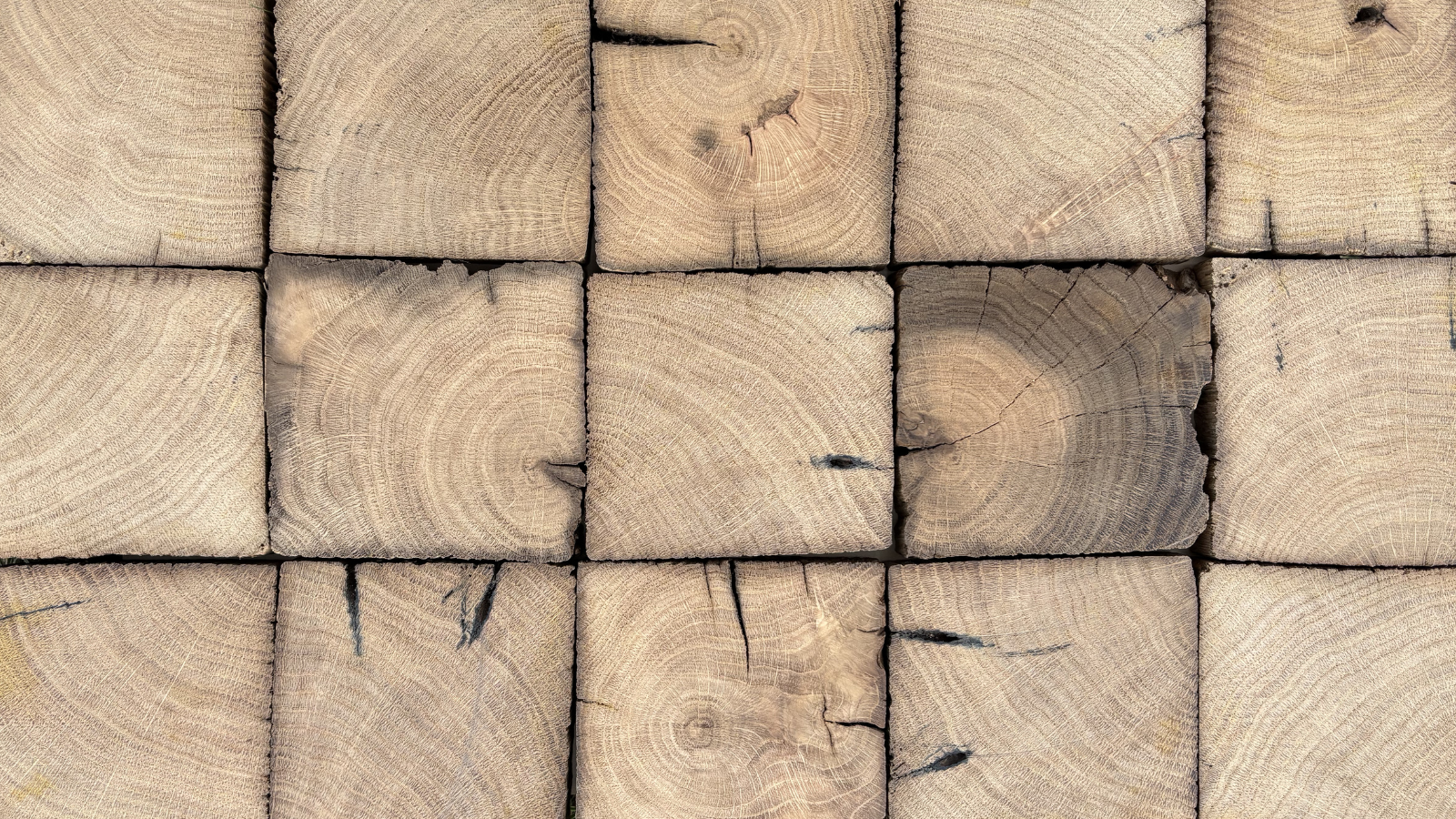 Close-up of reclaimed European oak timber end grain with natural texture, knots and aged character.