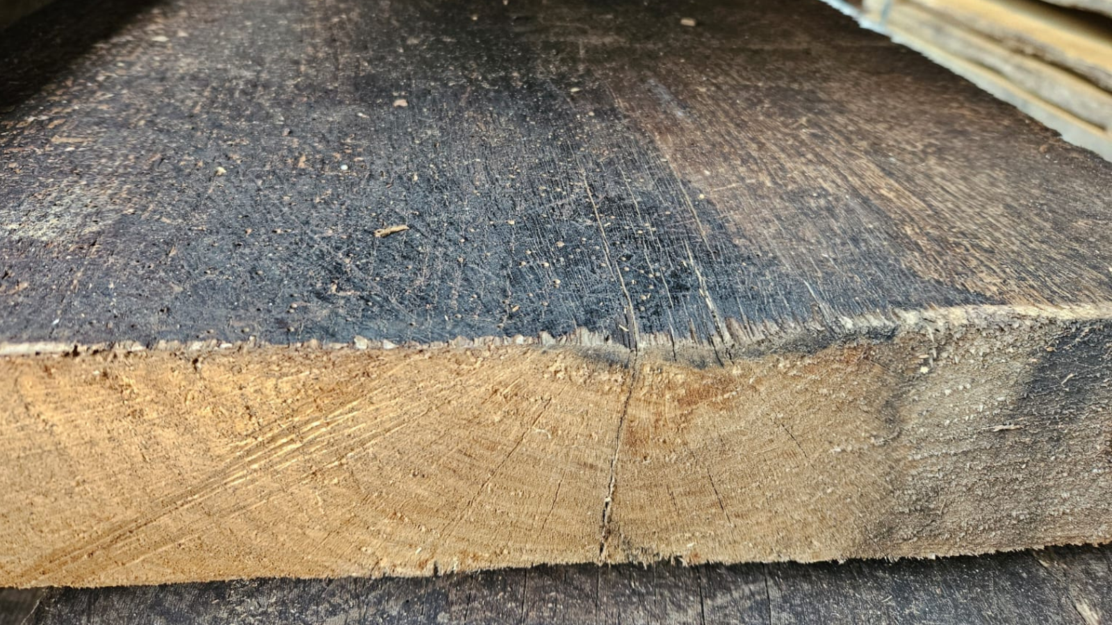 Close-up of a reclaimed European oak wine press floor plank showing aged surface texture, saw marks and natural character.