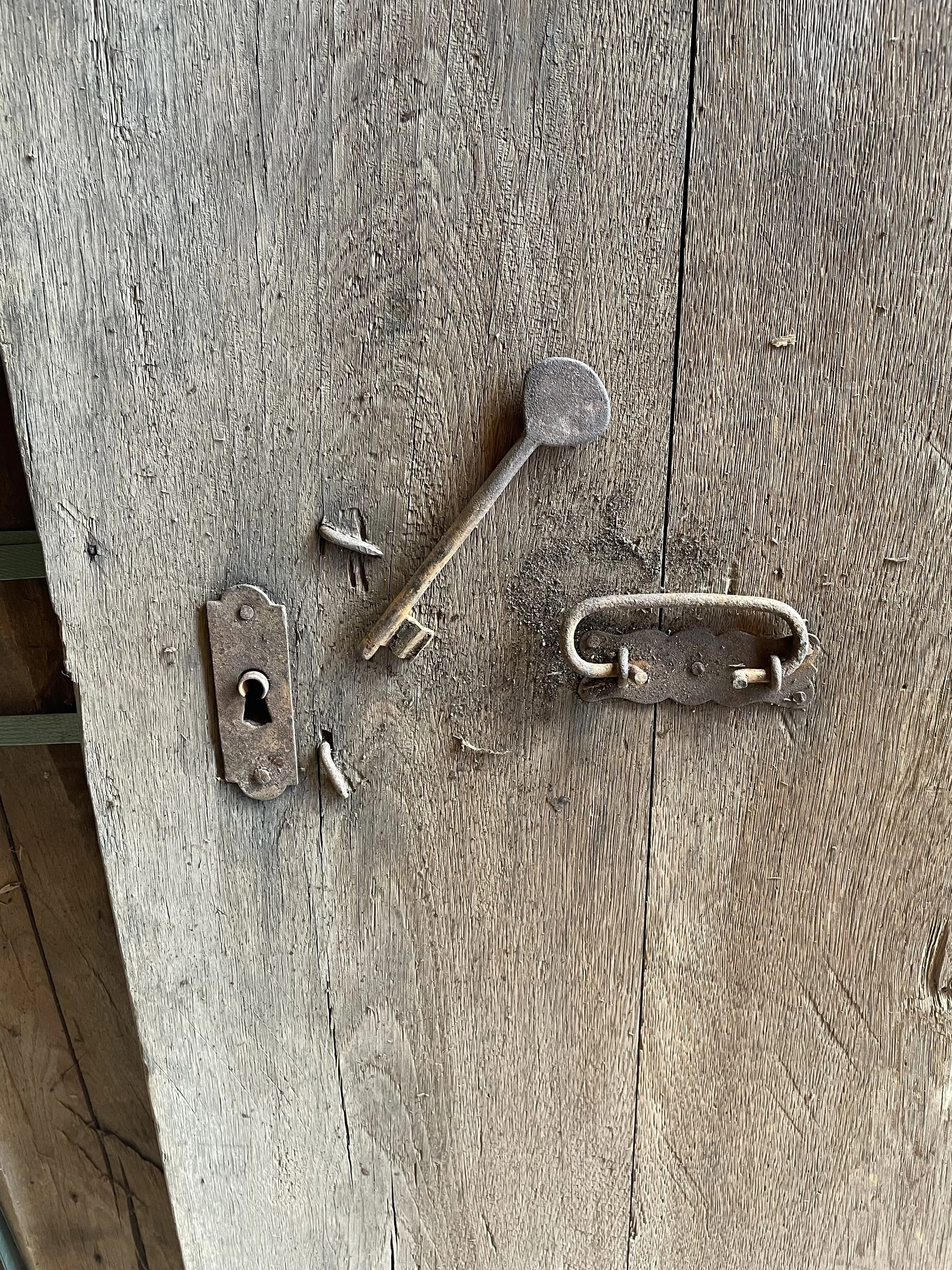 Old wooden door, antique oak