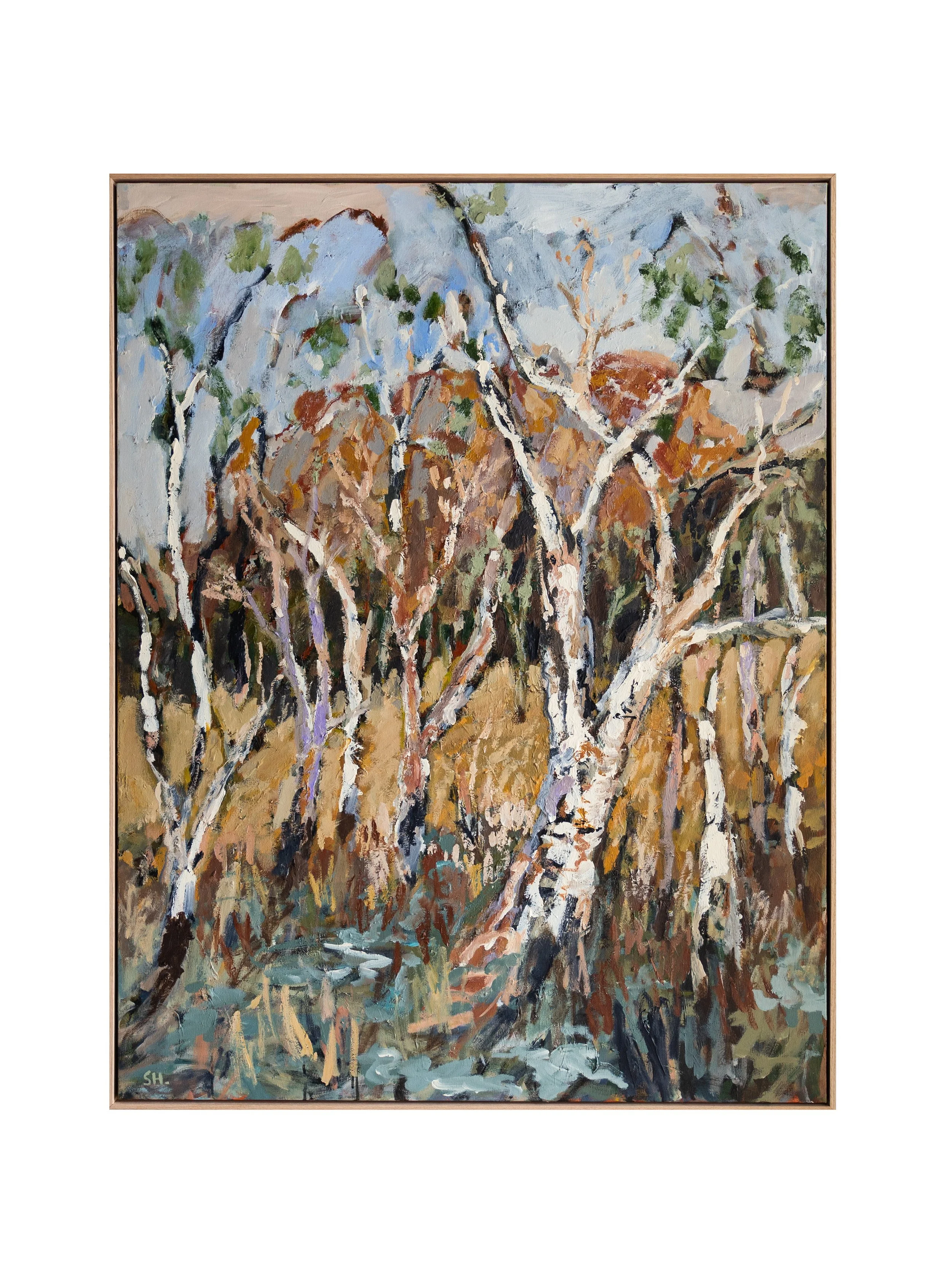 Light on the outcrop 2 - Kakadu, 2026