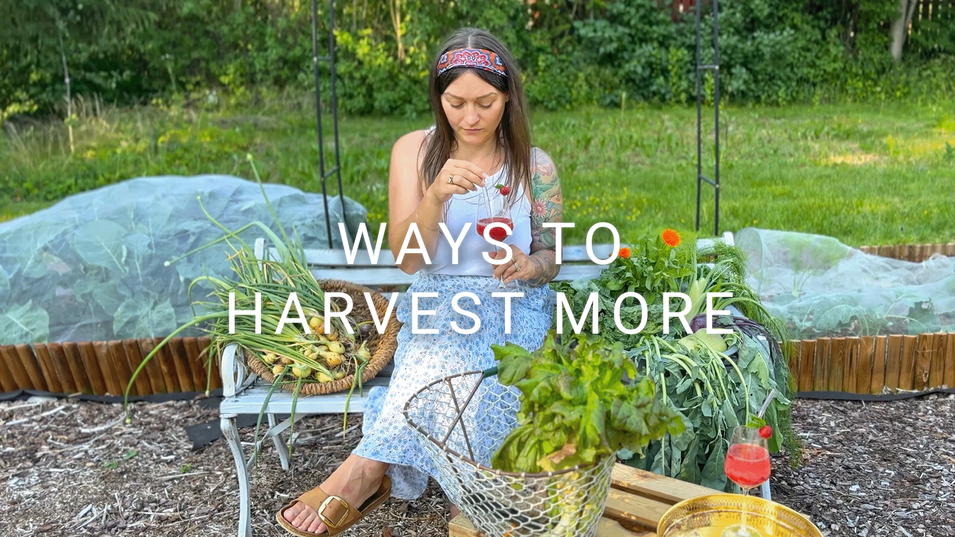 #4 Improving my vegetable garden