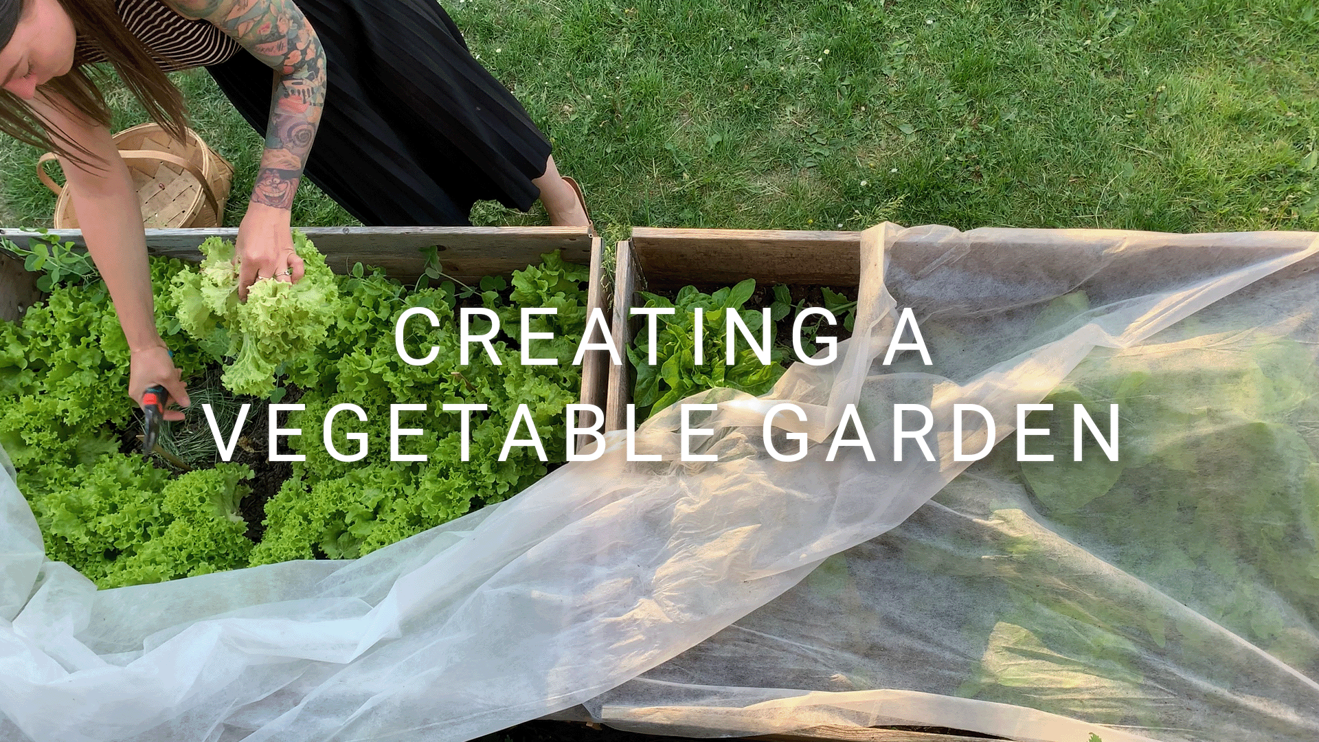 #2 Edible Backyard