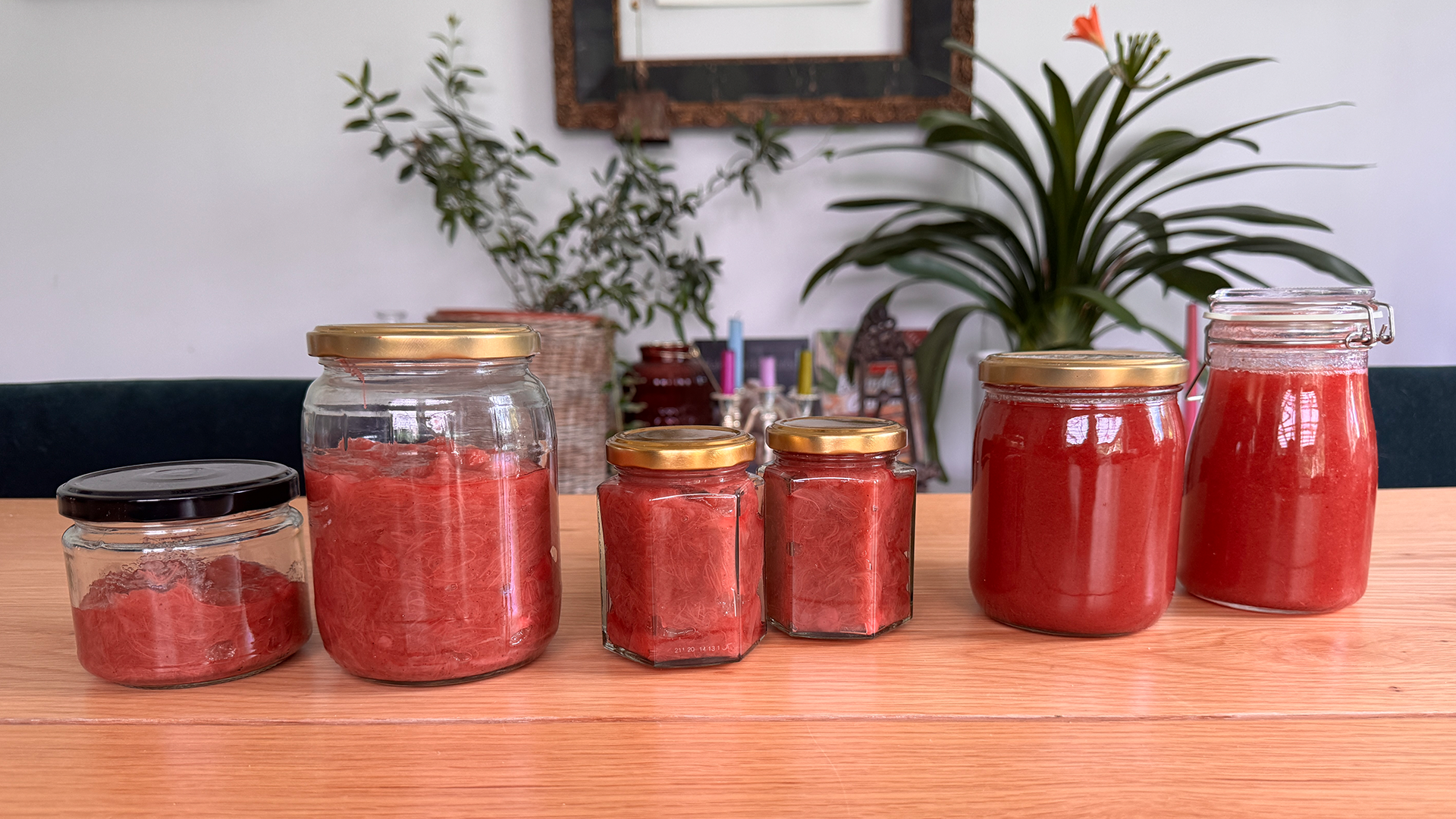 Rhubarb syrup and compote
