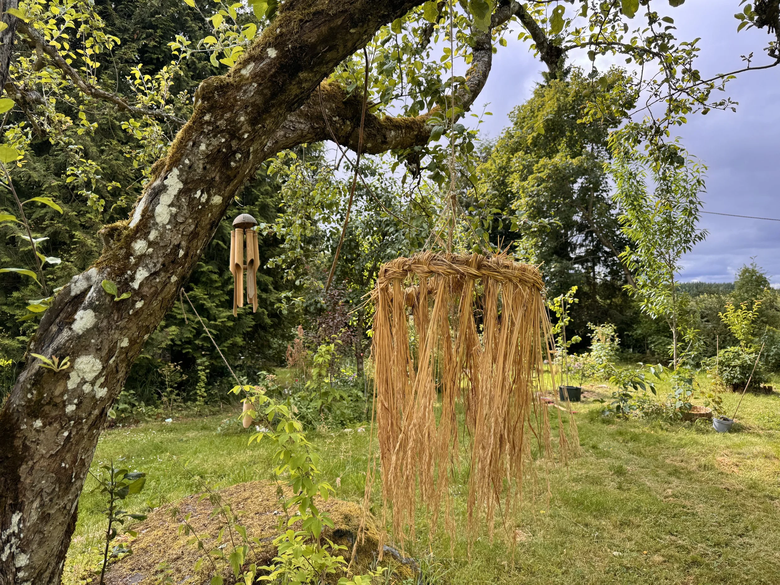 (Mid)summer Grass Wreath In Tree