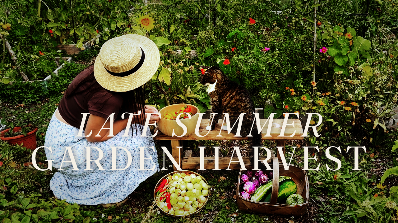 #12 Late Summer Harvesting Season