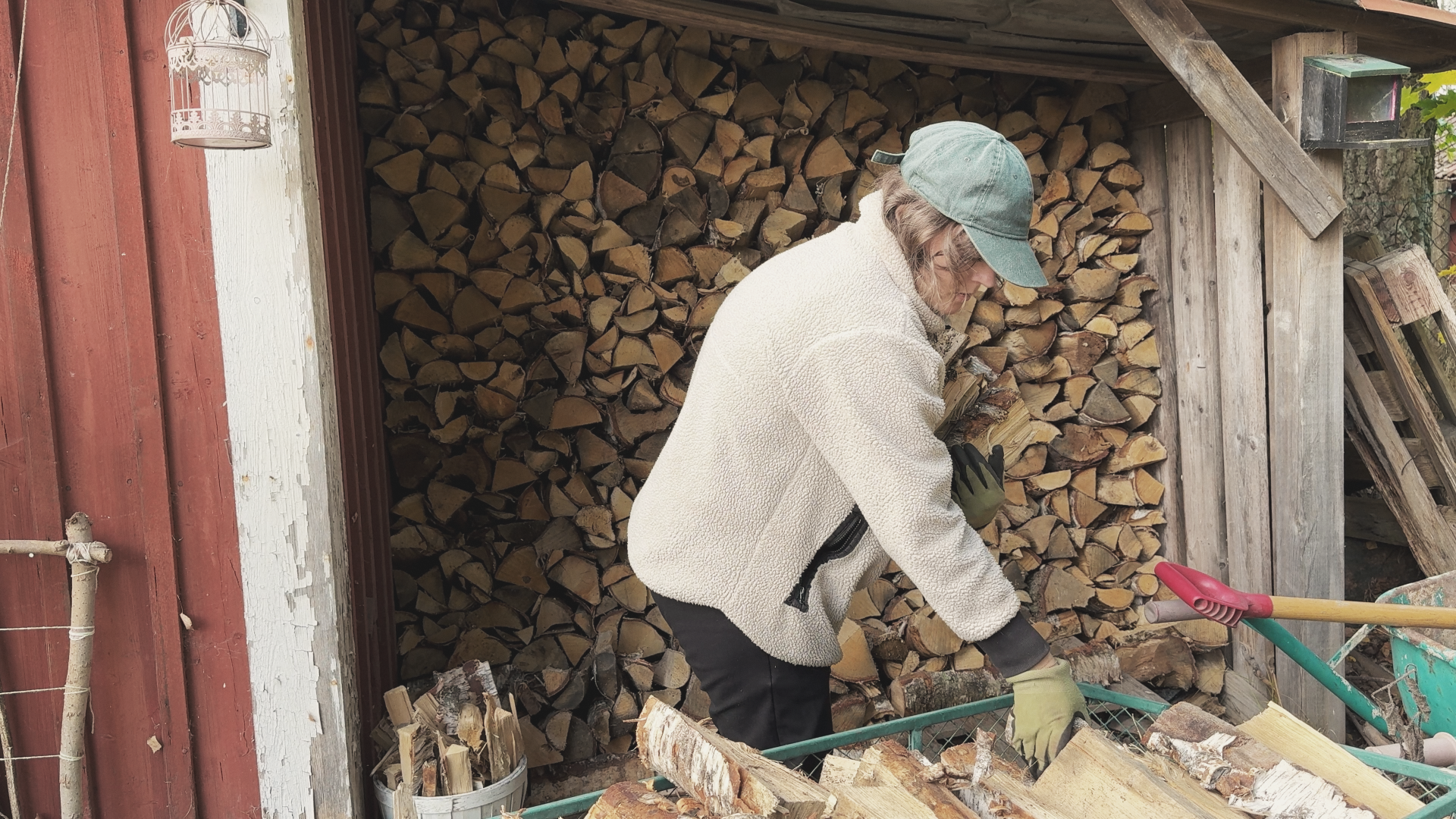 Stacking split birch firewood into a woodshed