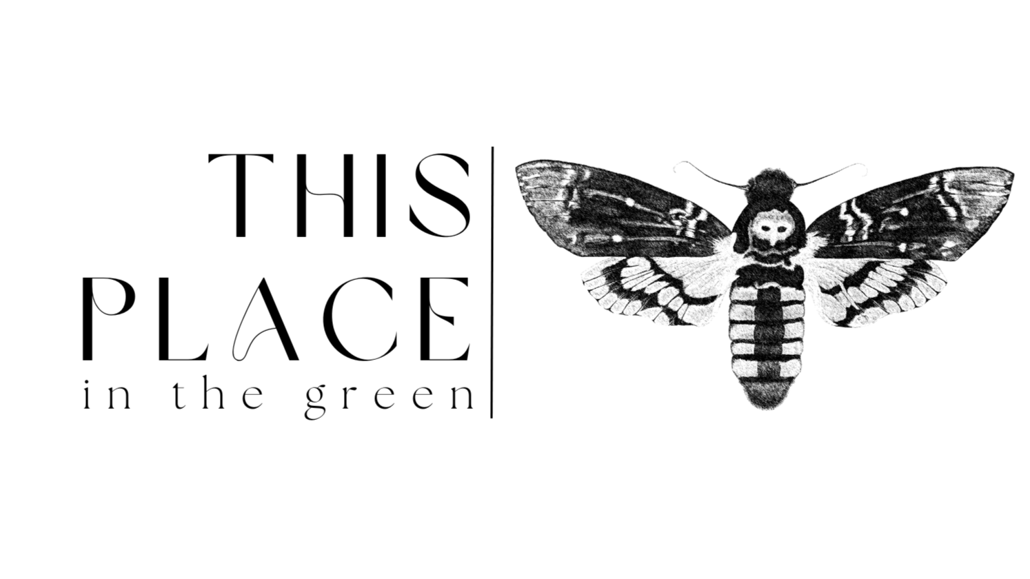 Black and white illustration of a moth with detailed wings and a skull pattern on its body.