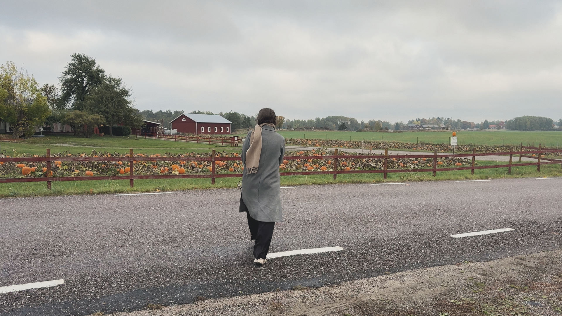 Crossing a quiet country road toward a pumpkin farm with a red barn