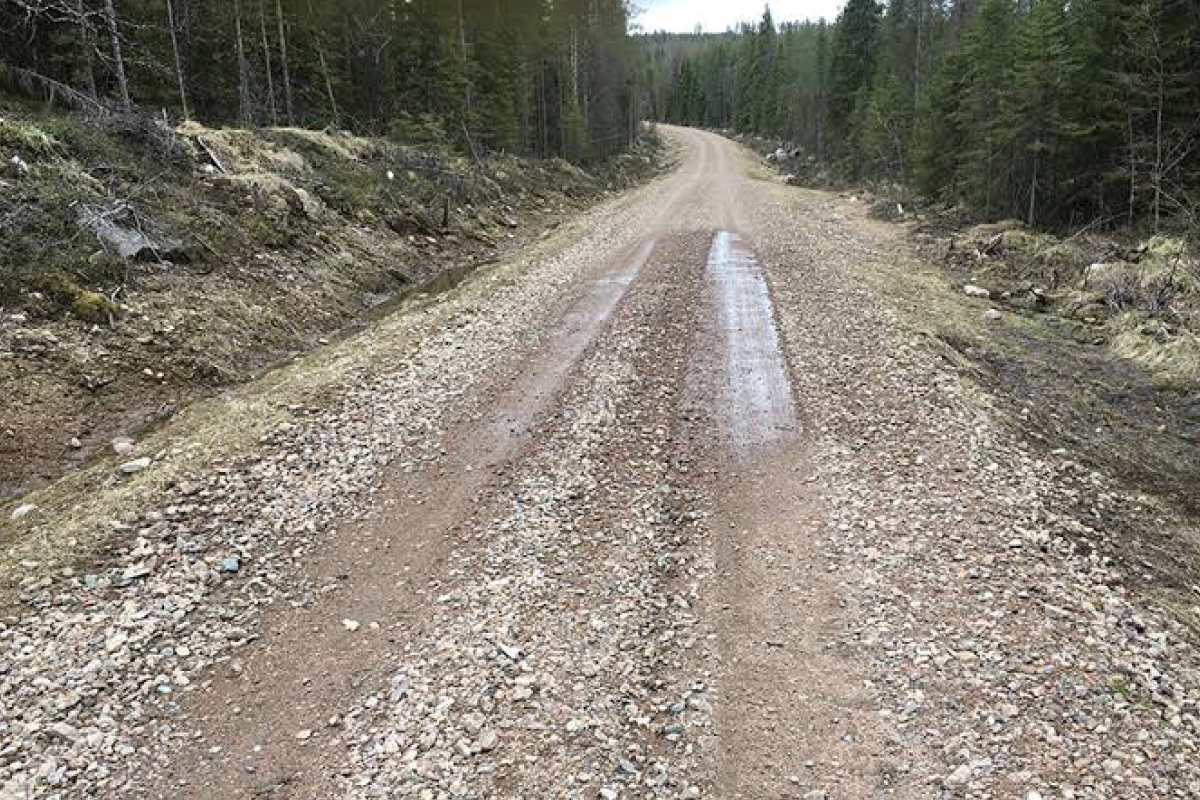 How Tree Debris, Gravel Roads and Construction Zones Increase Windshield Damage Risk