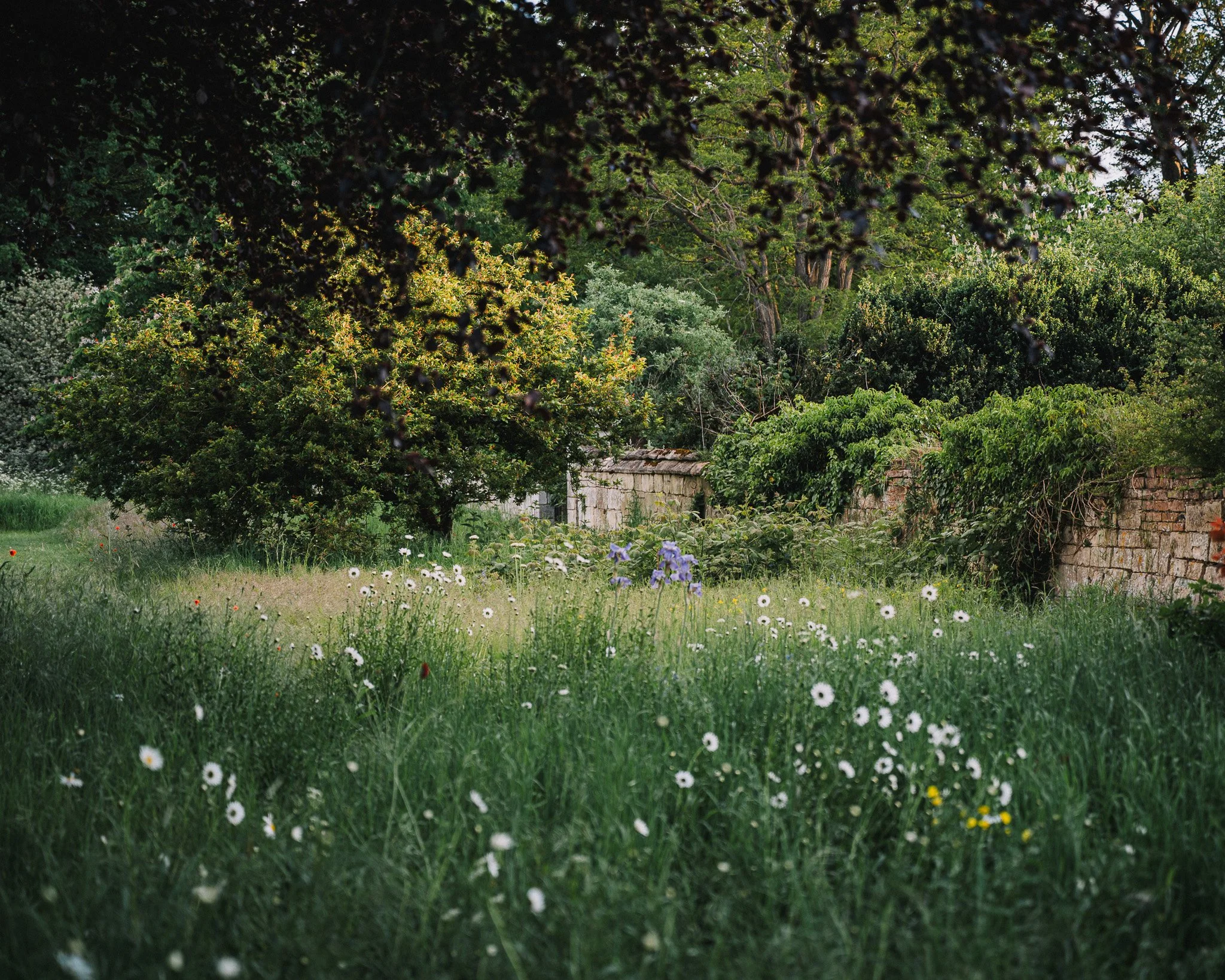 C&D_ElmoreCourt-240.jpg