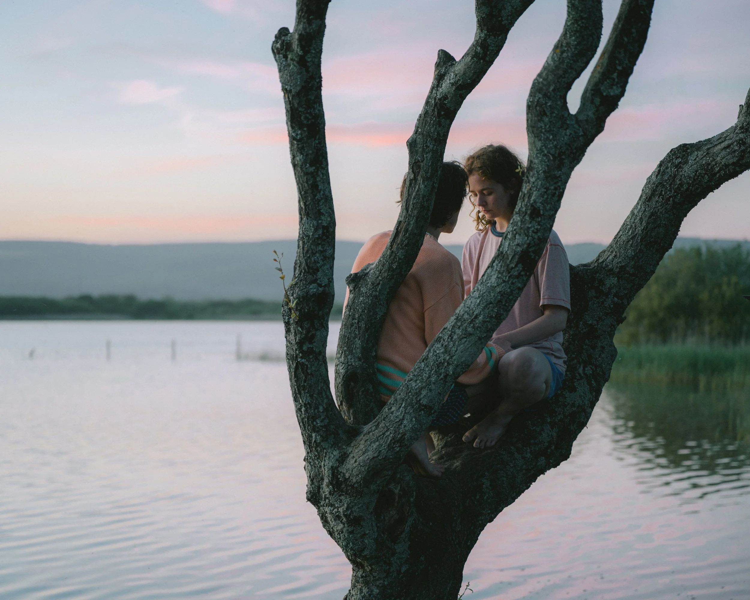 Two people, a young man and a young woman, sitting closely together on a tree branch by a lake at sunset, with a pink and purple sky in the background.