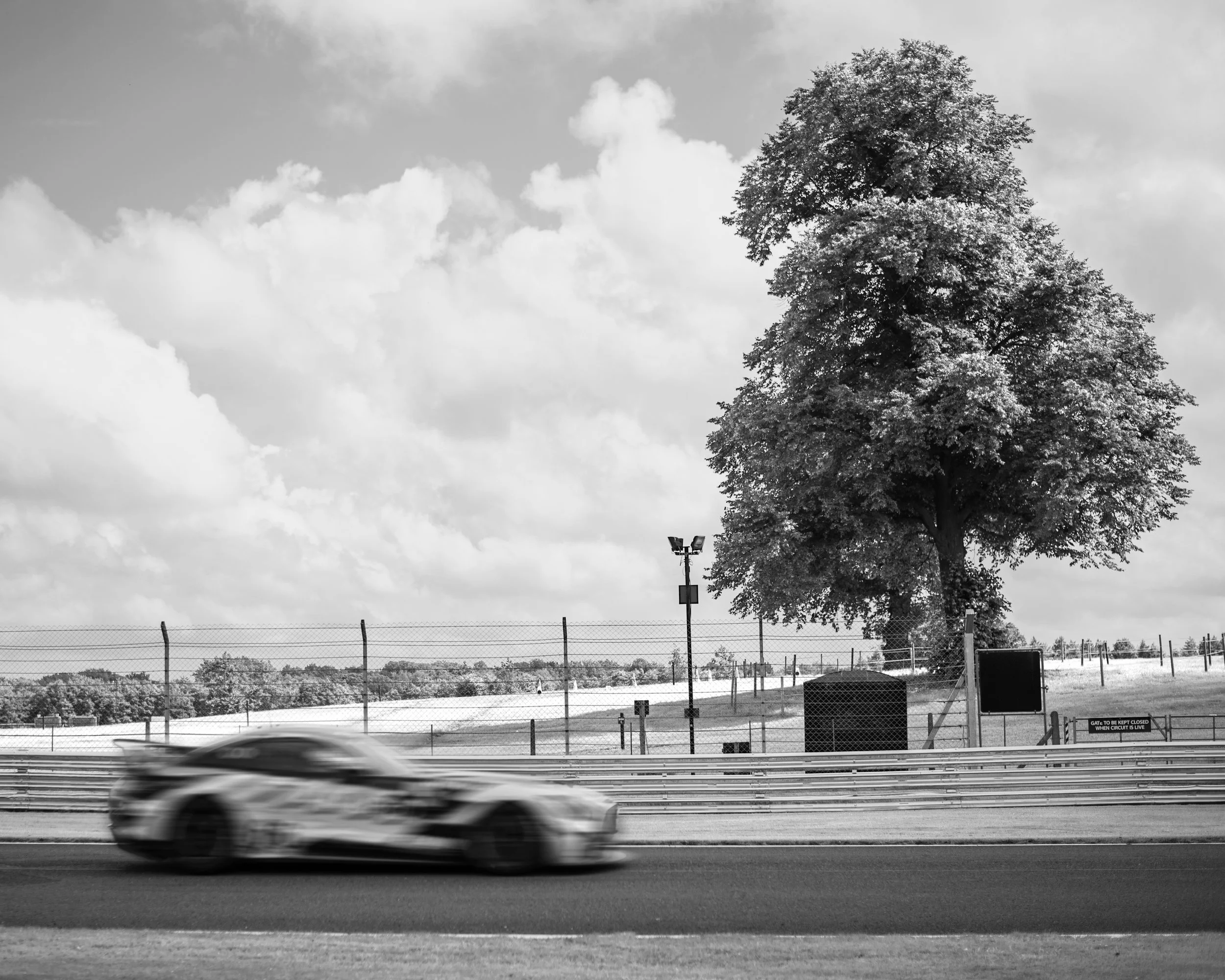 A black-and-white photograph of a large tree with dense foliage beside a highway. In the foreground, a blurred sports car is driving past. In the middle ground, there is a fence and a sign that reads 'GATE TO BE KEPT CLOSED WHEN CIRCUIT IS LIVE.' A t