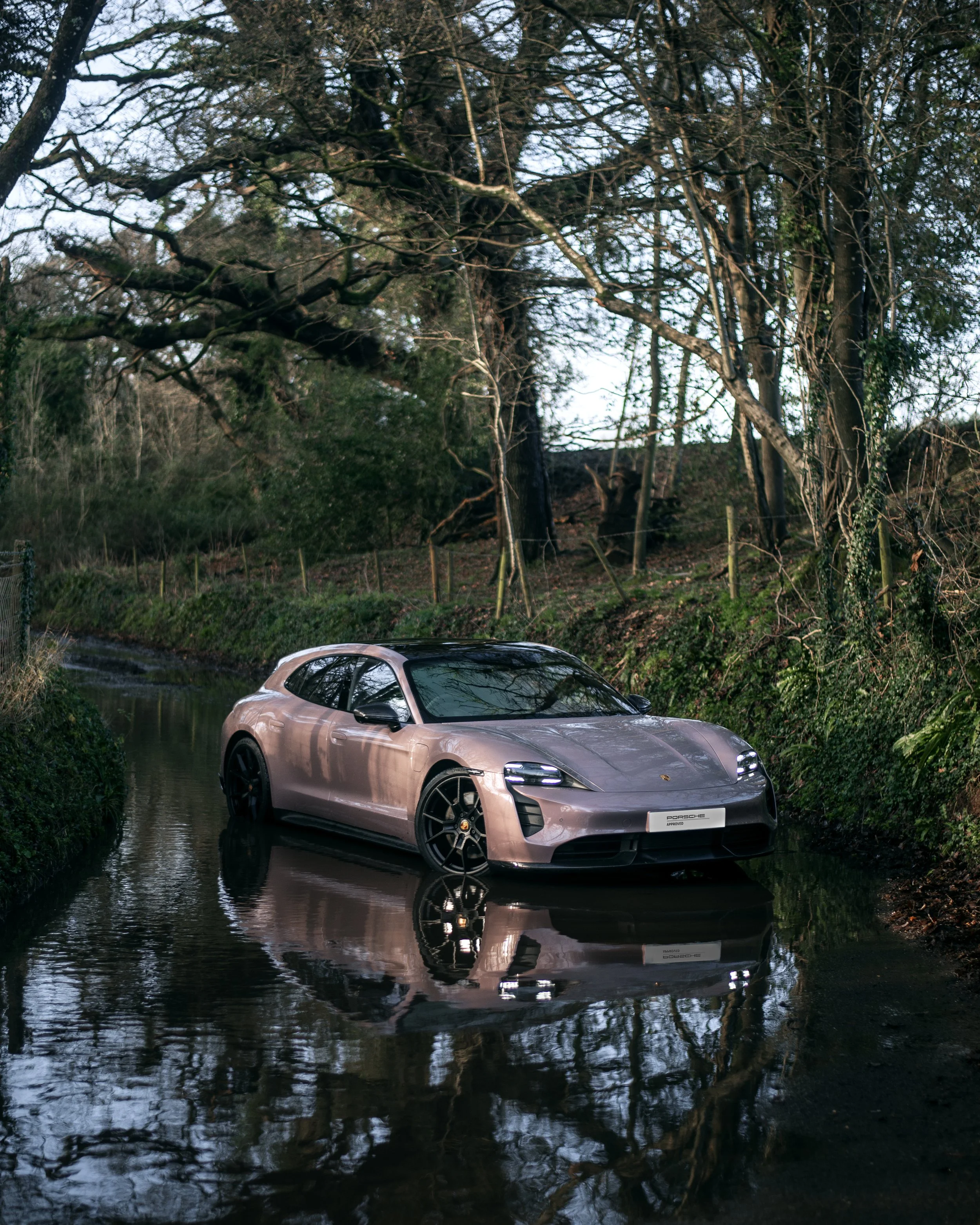 A silver Porsche sports car partially submerged in a narrow waterway with dense trees and foliage on the riverbank in the background.