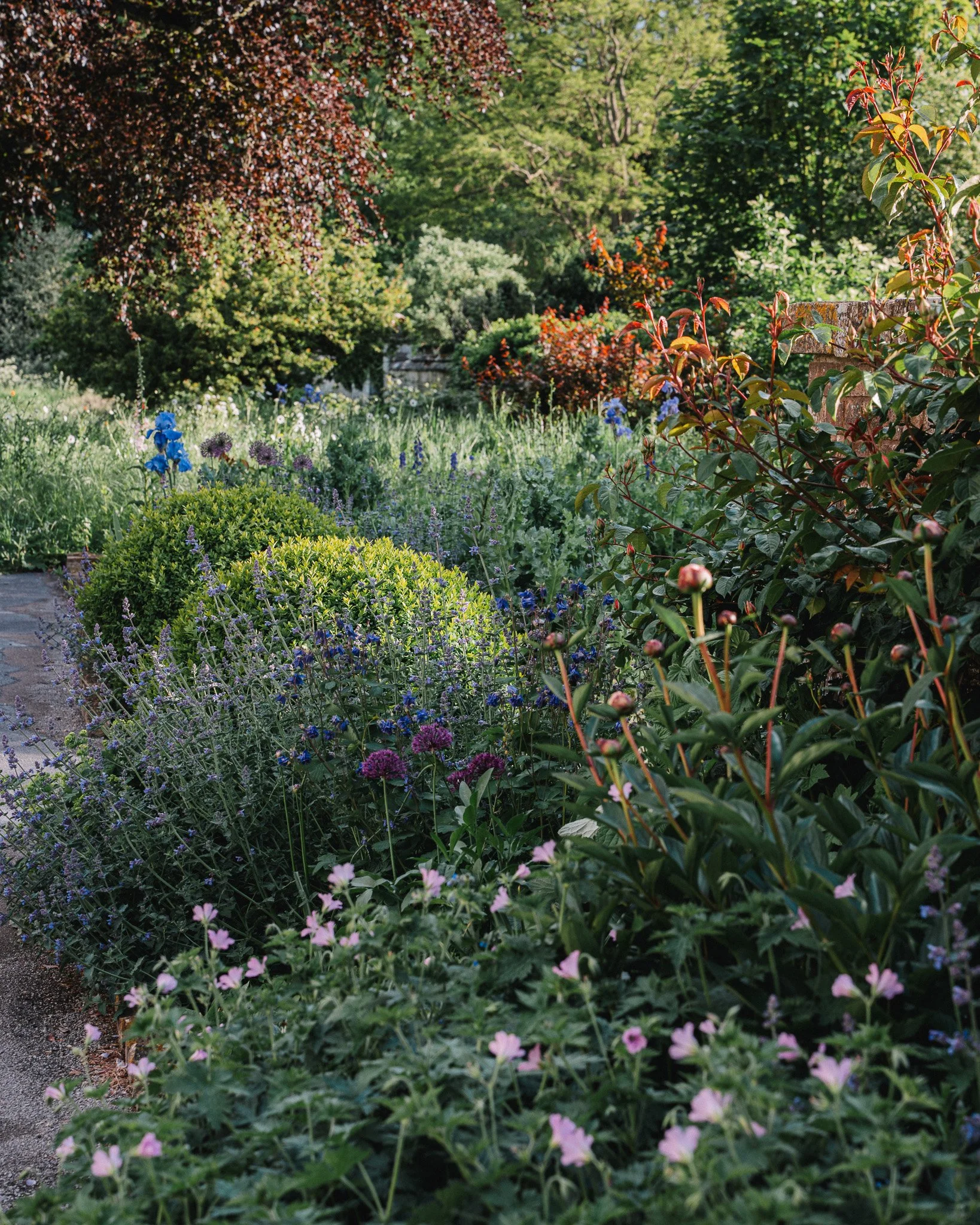 C&D_ElmoreCourt-161.jpg