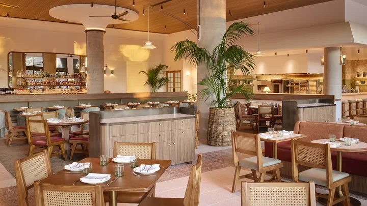 Interior view of a modern restaurant with wooden furniture, a bar in the background, and large potted plants.