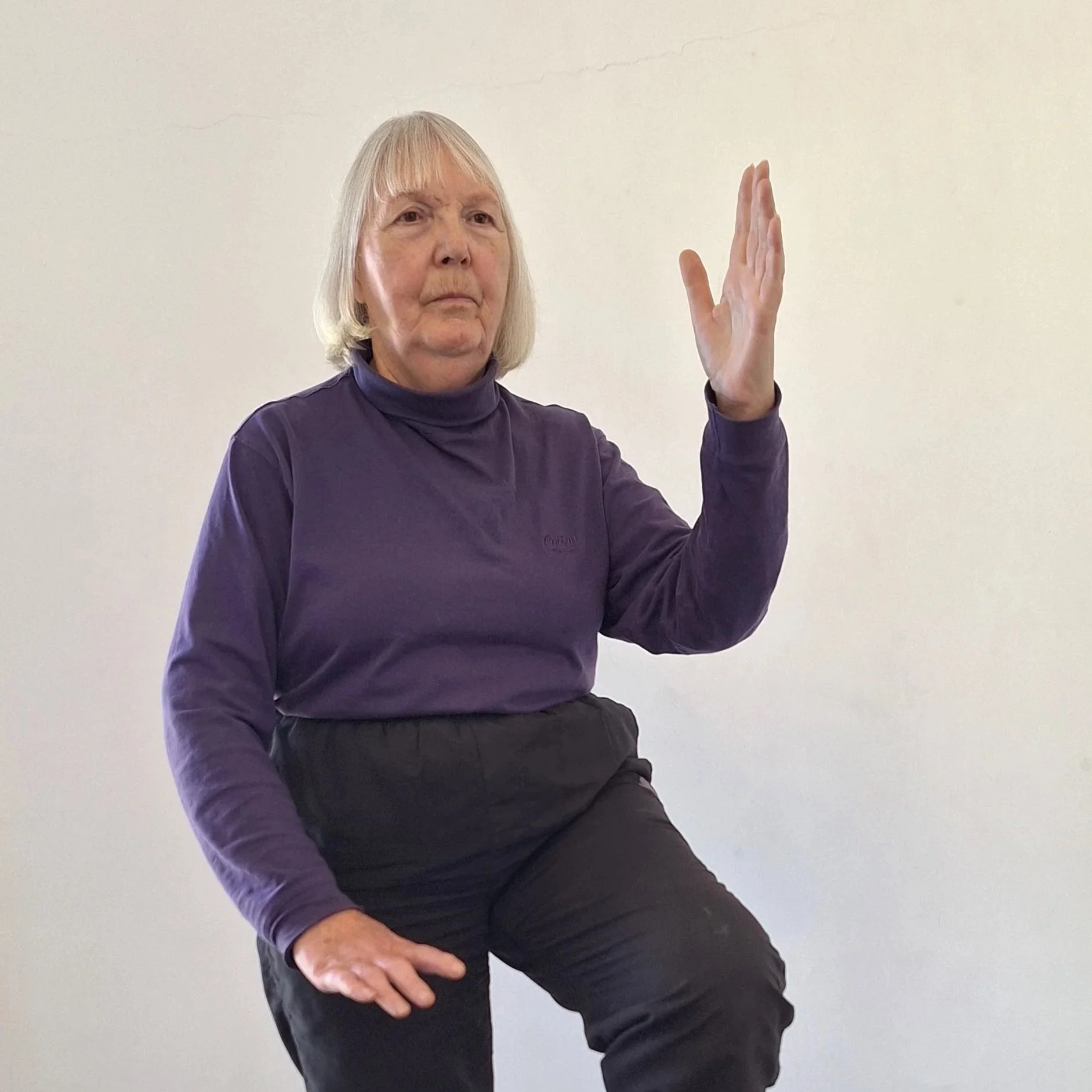 An elderly woman with long gray hair wearing a purple turtleneck, sitting against a plain white wall, raising her right hand with an open palm.