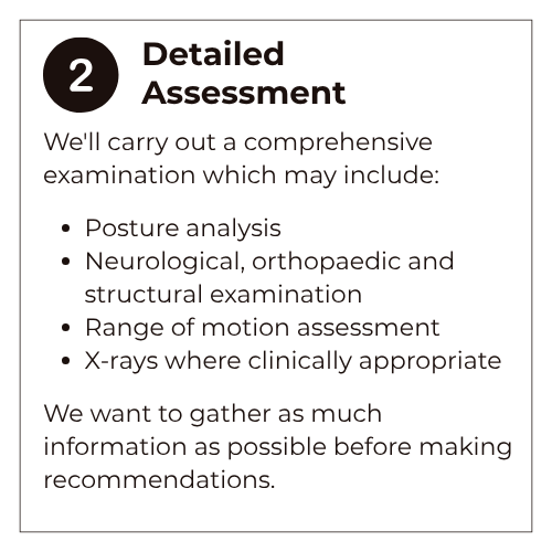 Slide titled '2. Detailed Assessment' listing components such as posture analysis, neurological and orthopedic examination, range of motion assessment, and X-rays as appropriate, emphasizing thorough information gathering before making recommendations.
