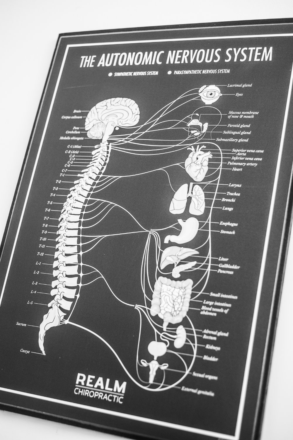 Realm Chiropractic Clinic in Cupar, Fife