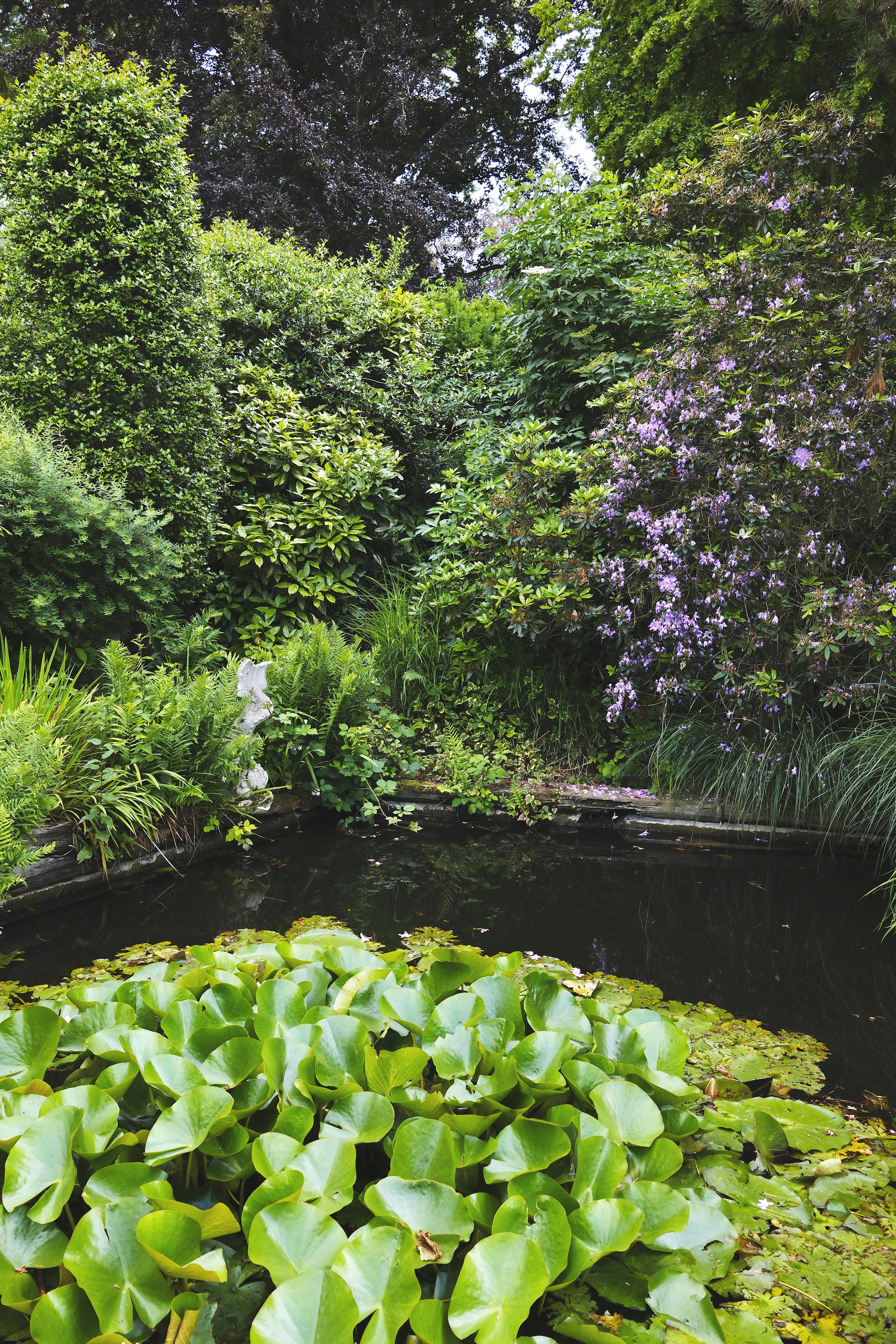 Kasteeltuin met pittoreske vijver omgeven door bloemen en planten | Kasteeldomein Battenbroek