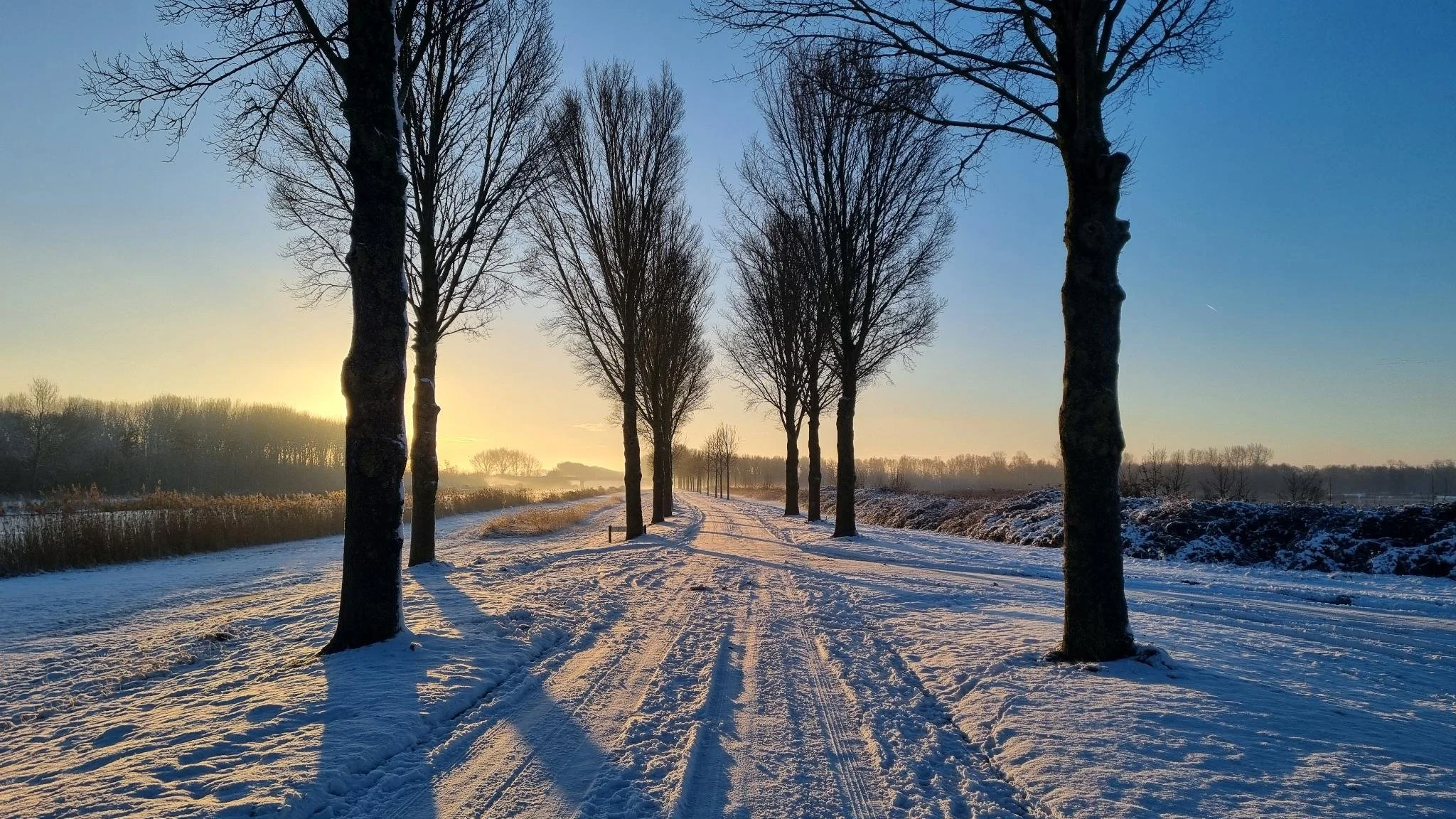 Snow-covered path lined with leafless trees in a winter landscape during sunset