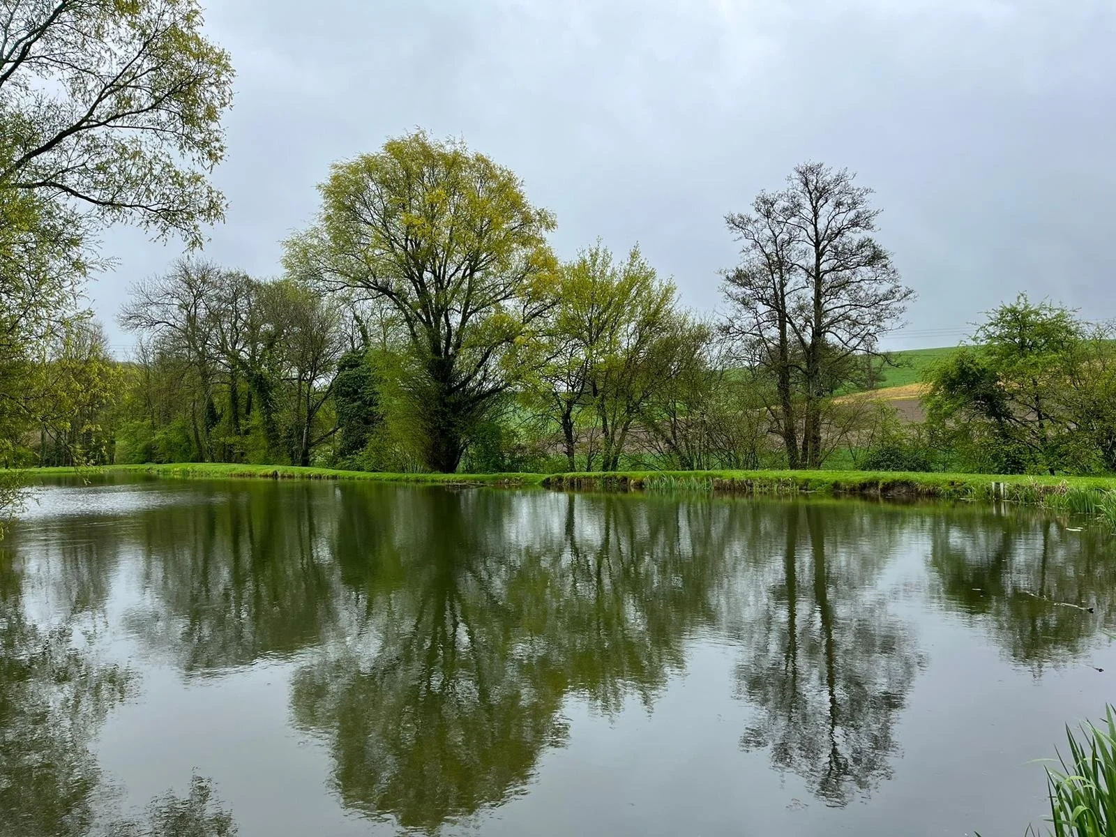 A peaceful landscape of a river surrounded by green trees with reflections in the water and a cloudy sky overhead.