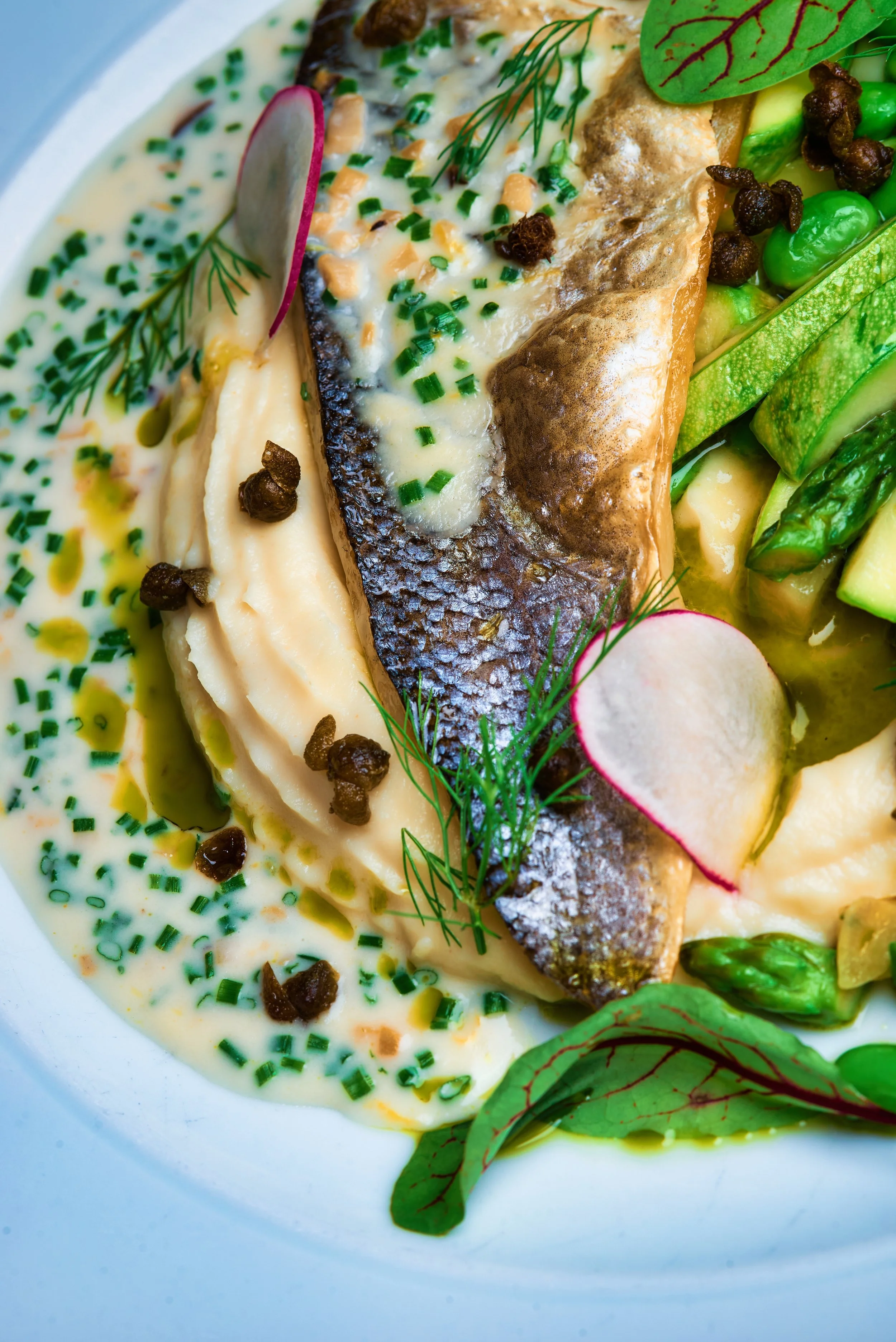 Close-up of a plated dish with fish topped with creamy sauce, chopped chives, and dill, surrounded by green vegetables and garnished with sliced radishes and fresh greens.