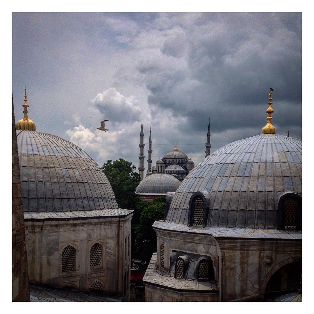&copy; Mad Papaya 2.0
#Istanbul