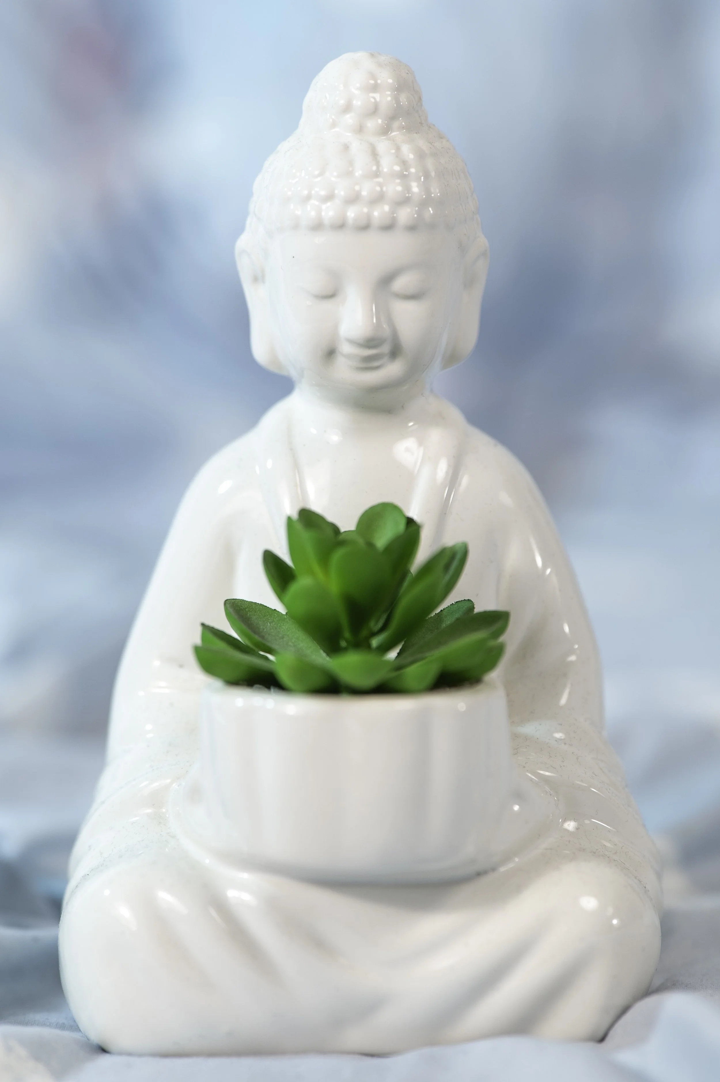 A white ceramic Buddha figurine with closed eyes and a serene expression is holding a small white ceramic container filled with a green succulent plant. The background is a soft blue color.