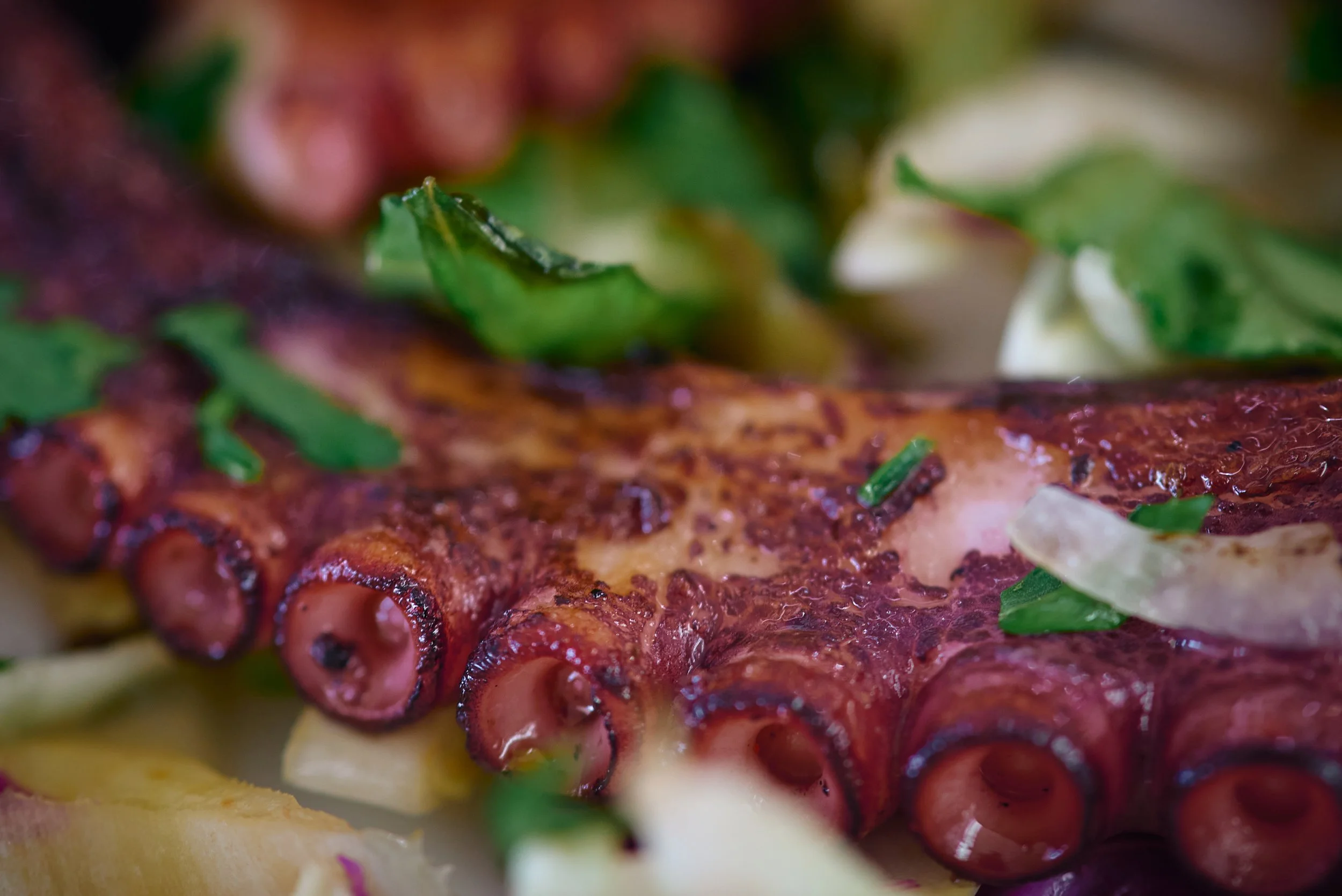 Close-up of a slice of meat topped with chopped green herbs and red sauce, with blurred crispy edges and green garnish.