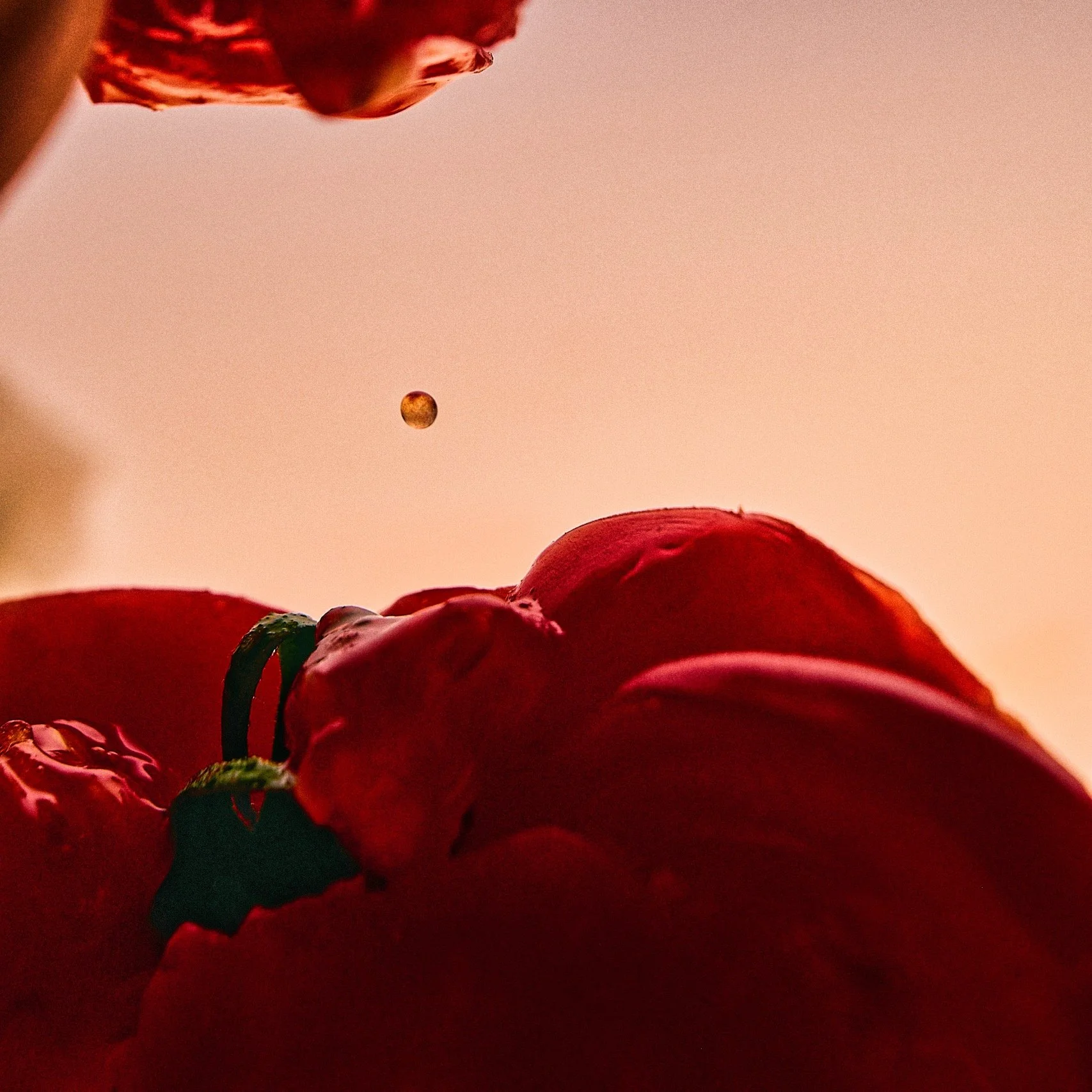 Close-up of red flowers and a small floating planet or moon in the sky, with a pinkish-orange background.