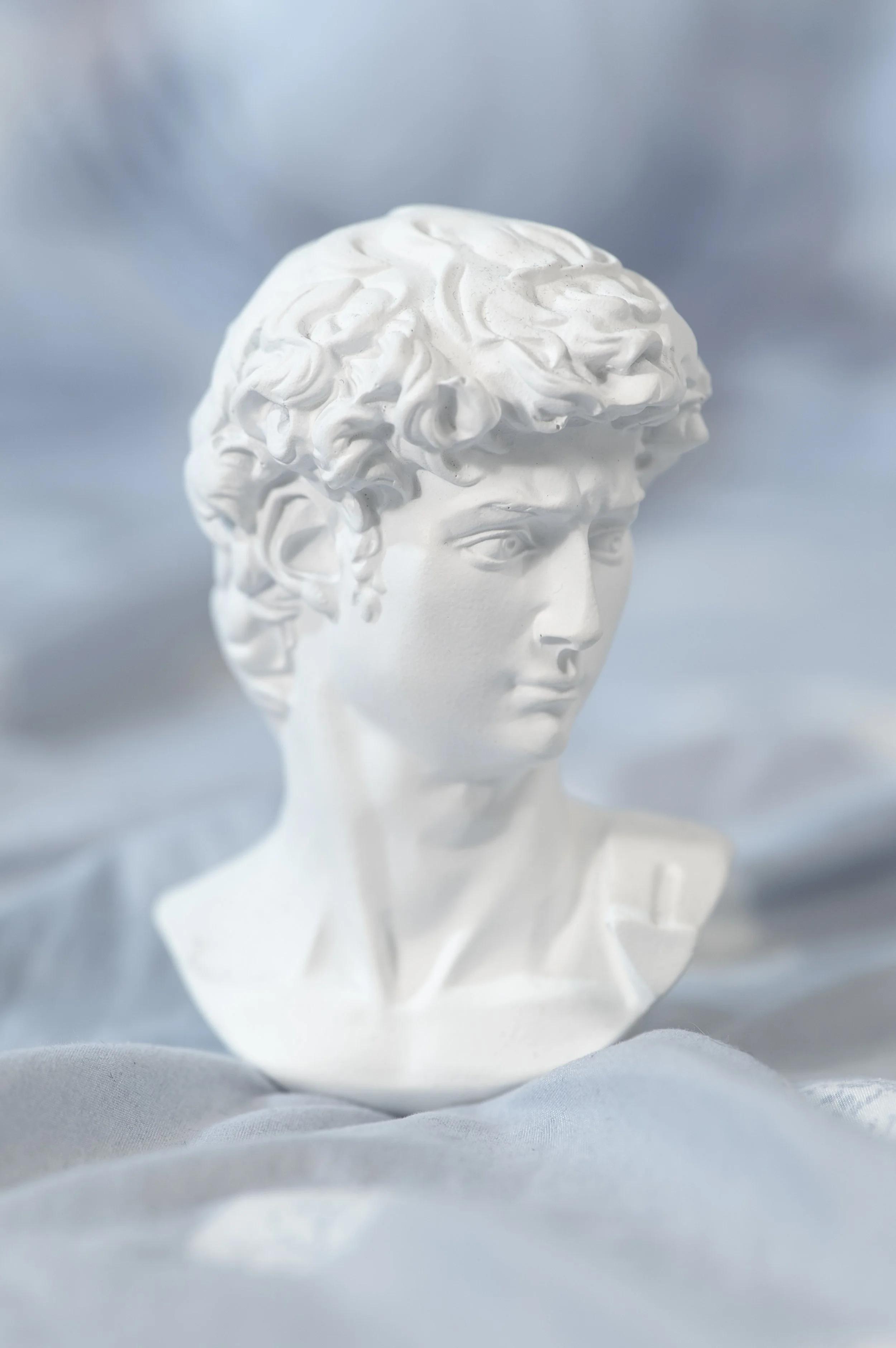 White classical bust sculpture with detailed curly hair set against a light blue background.