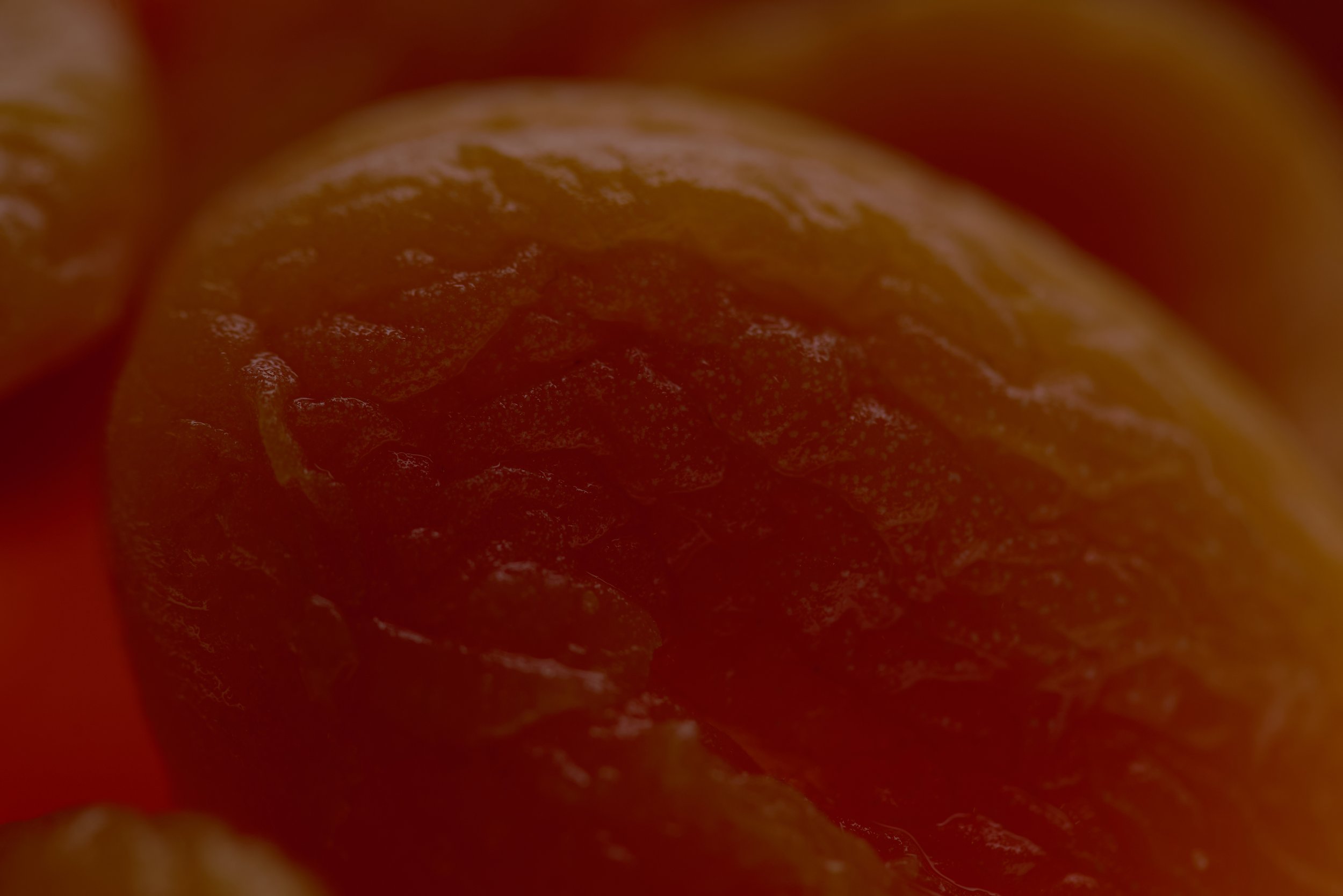 Close-up of a red orange fruit with textured peel.