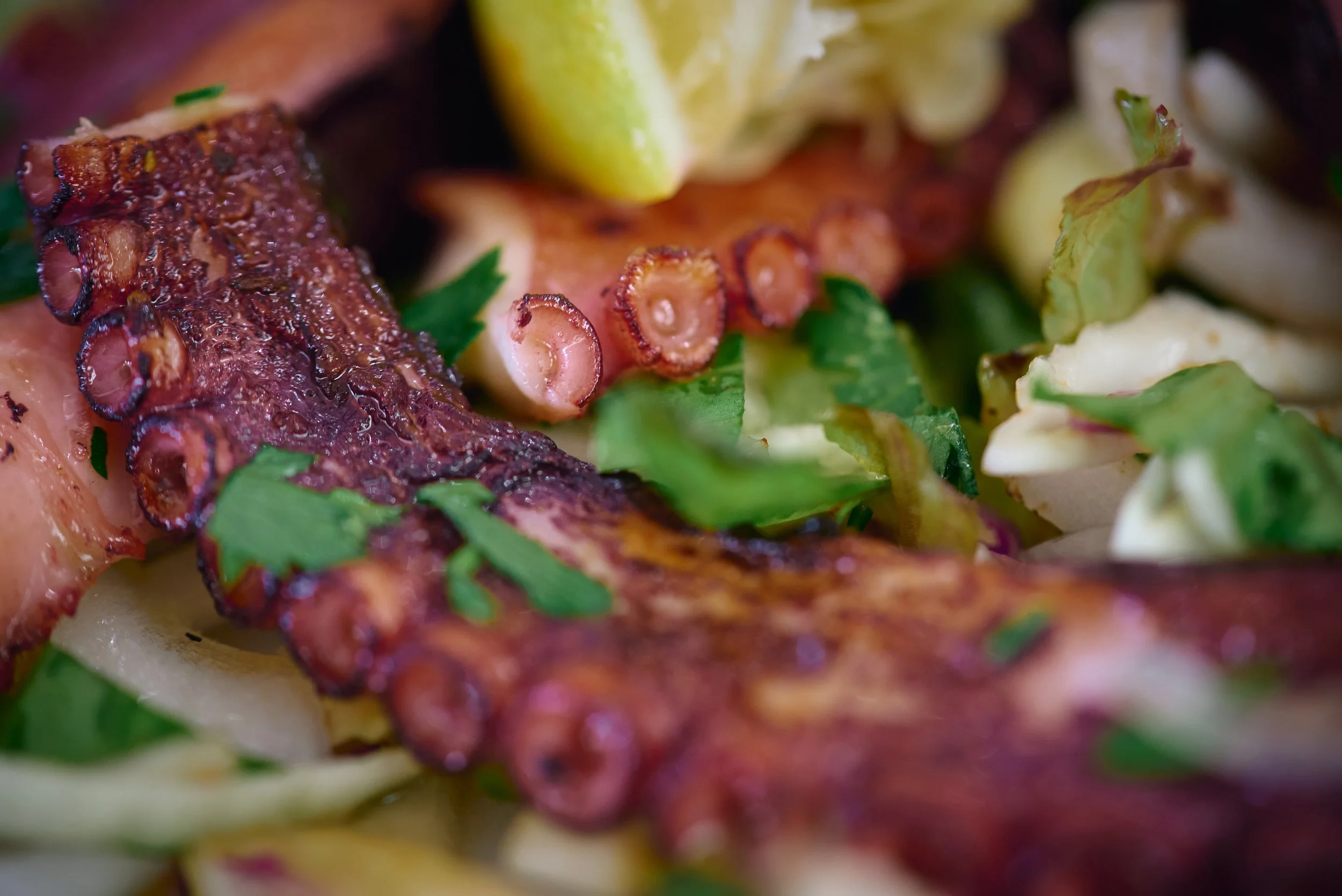 Close-up of grilled octopus tentacles garnished with chopped cilantro, placed on a bed of shredded vegetables.