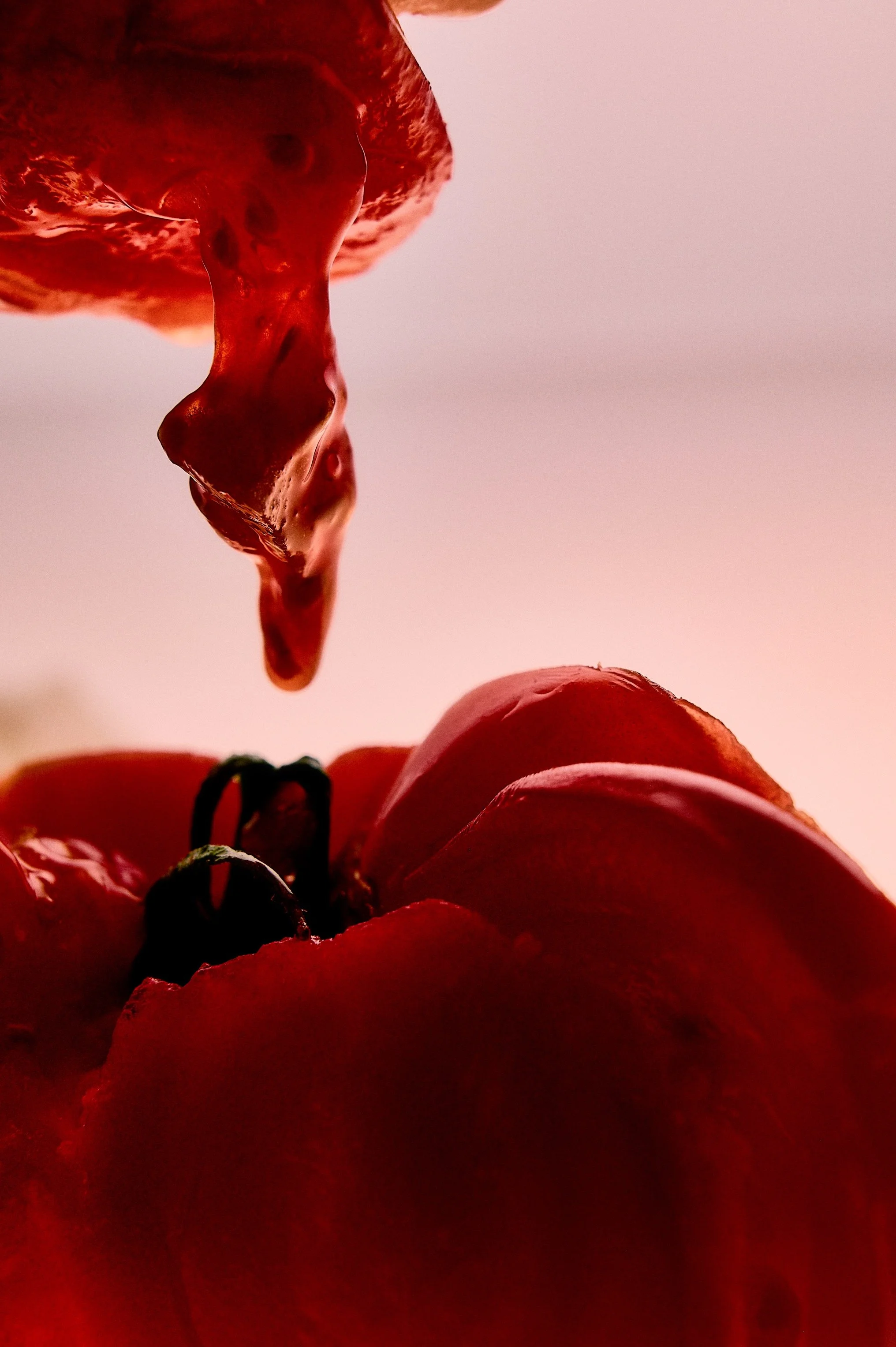 Close-up of a cluster of red grapes with one grape being pressed or squeezed, releasing juice, against a light pink background.