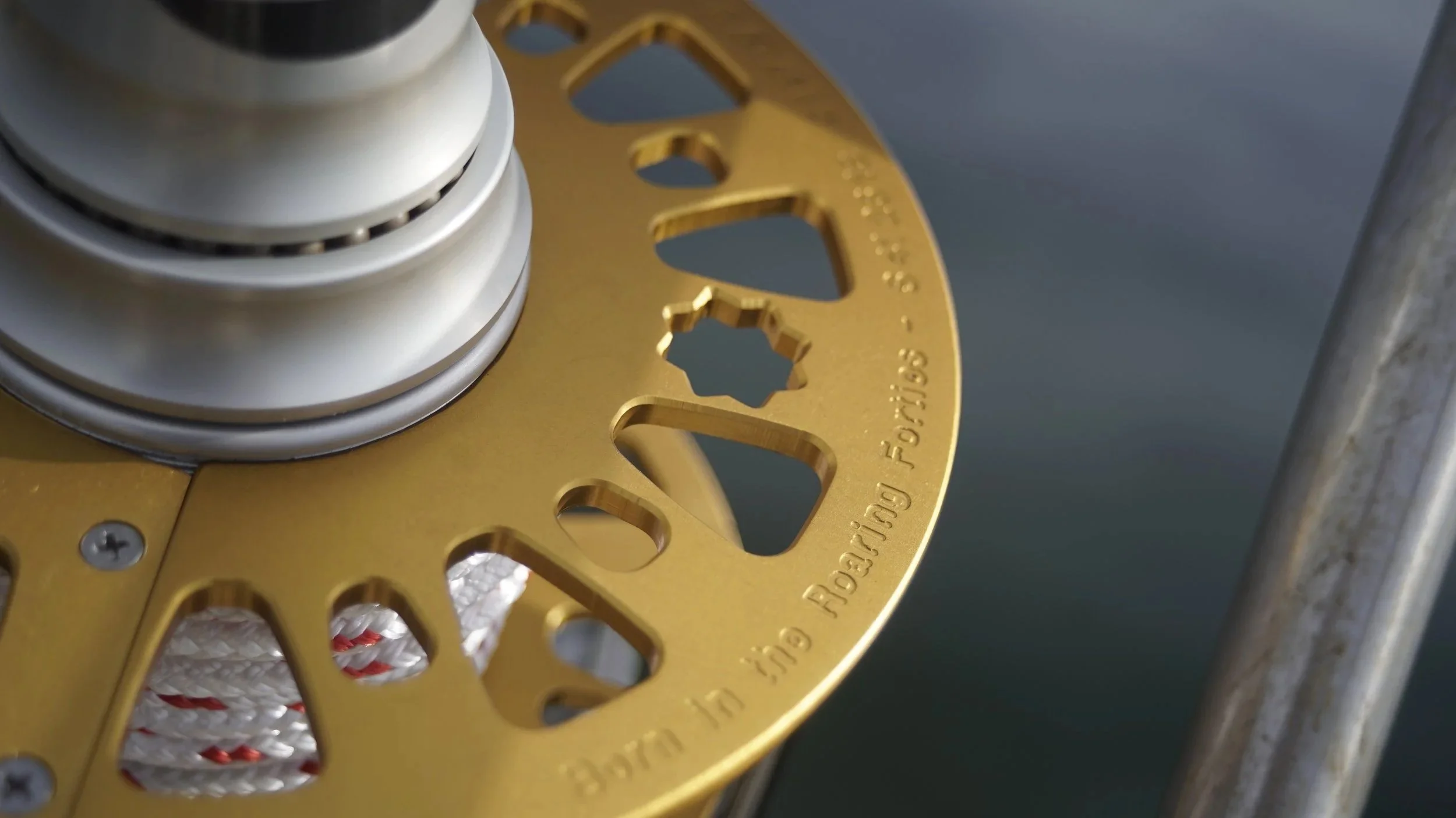Close-up of a mechanical component featuring a silver roller bearing and a gold-colored gear with cut-out shapes.