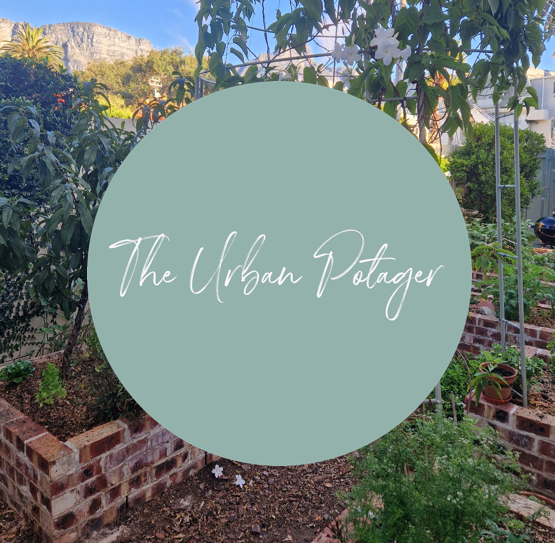 The Urban Potager