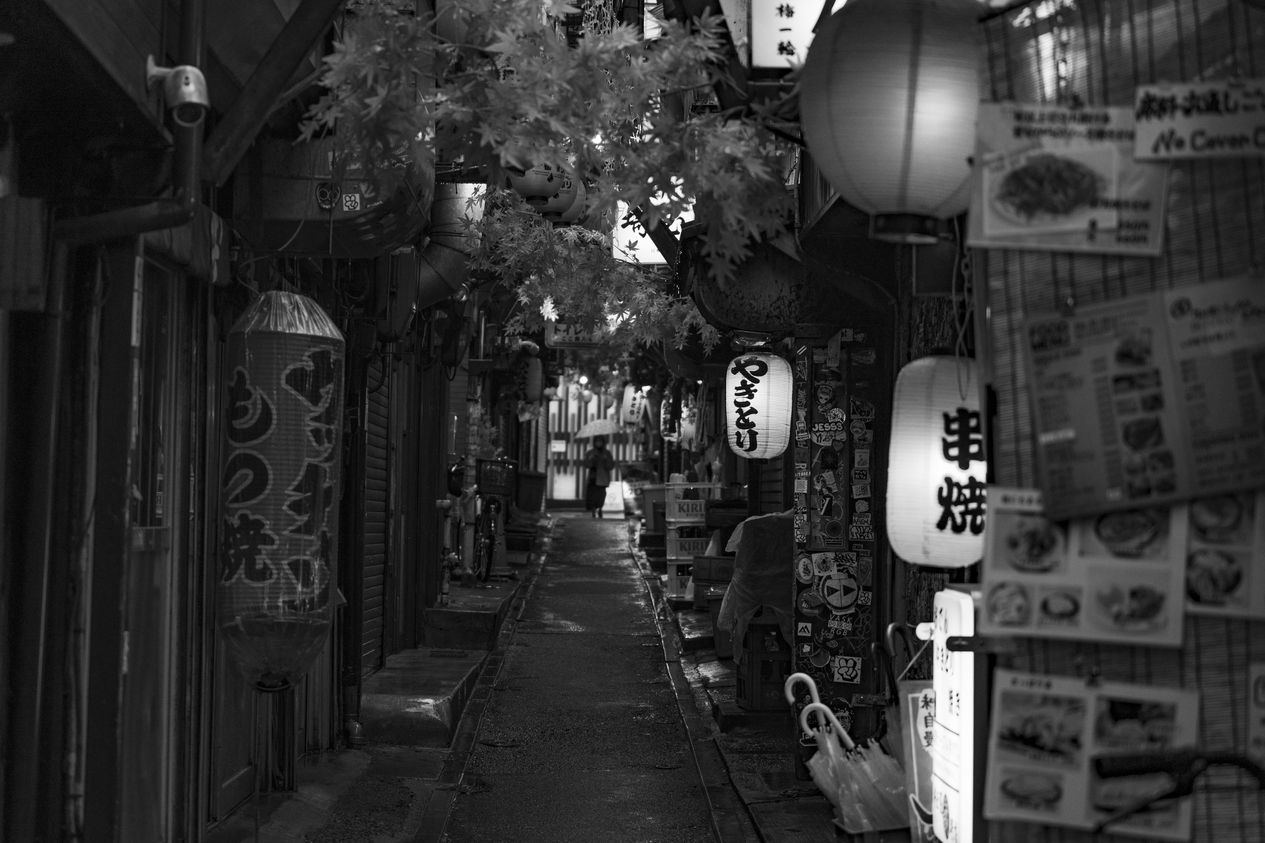 DSC09901.jpg