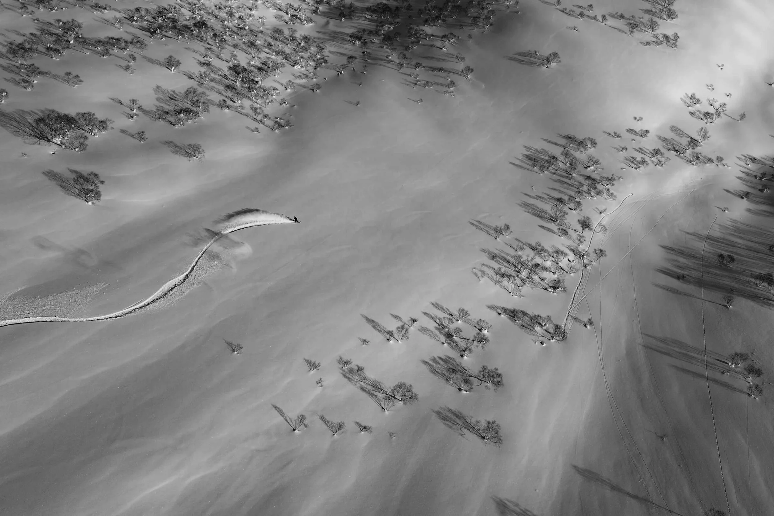 DJI_0442-2.jpg